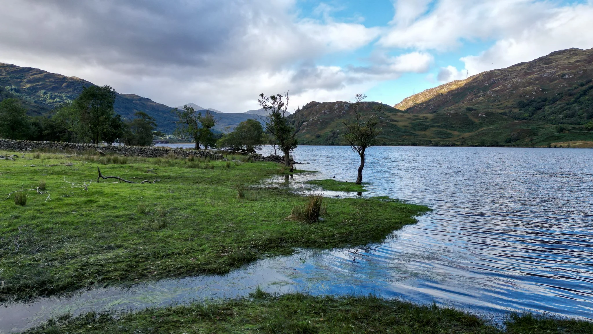 A lakeside scene with green grass, trees, and mountains in the background under a partly cloudy sky.