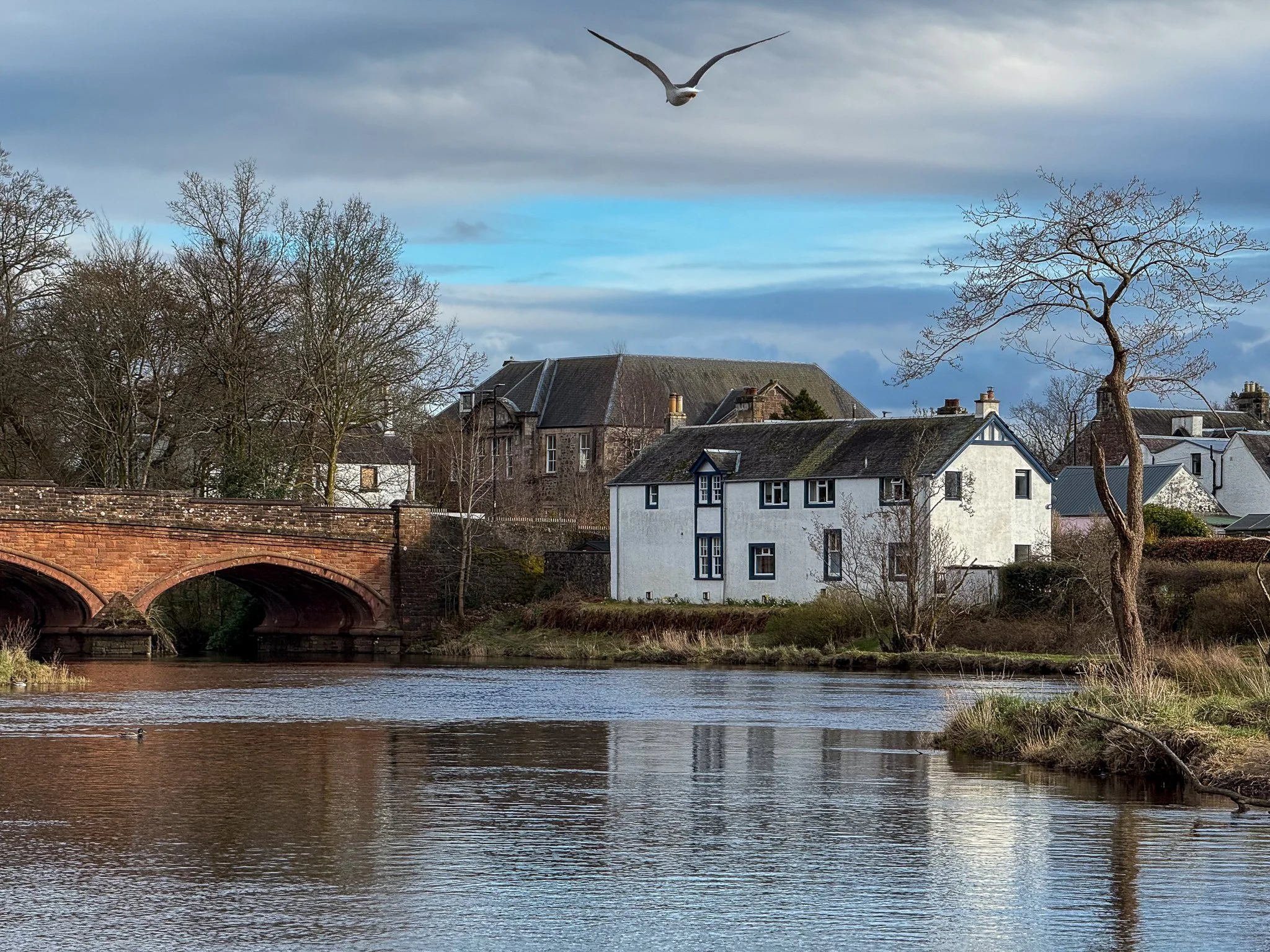 A river flows through a small town with a brick bridge, white houses, leafless trees, and a seagull flying in the sky.