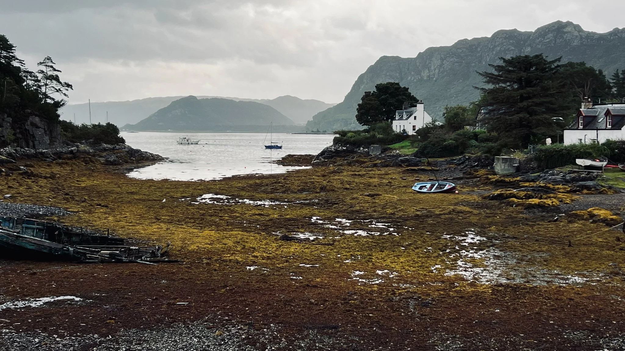 A rocky shoreline with seaweed, small boats pulled up on the rocks, and a few houses surrounded by trees, with mountains in the background under an overcast sky.
