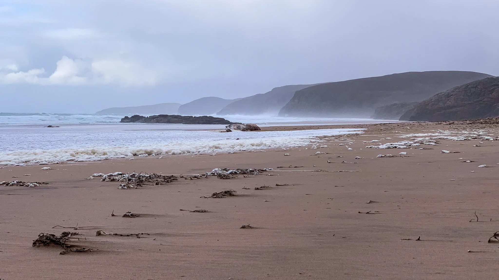 A sandy beach with debris and seaweed, ocean waves, rocky outcroppings, and distant hills under a cloudy sky.