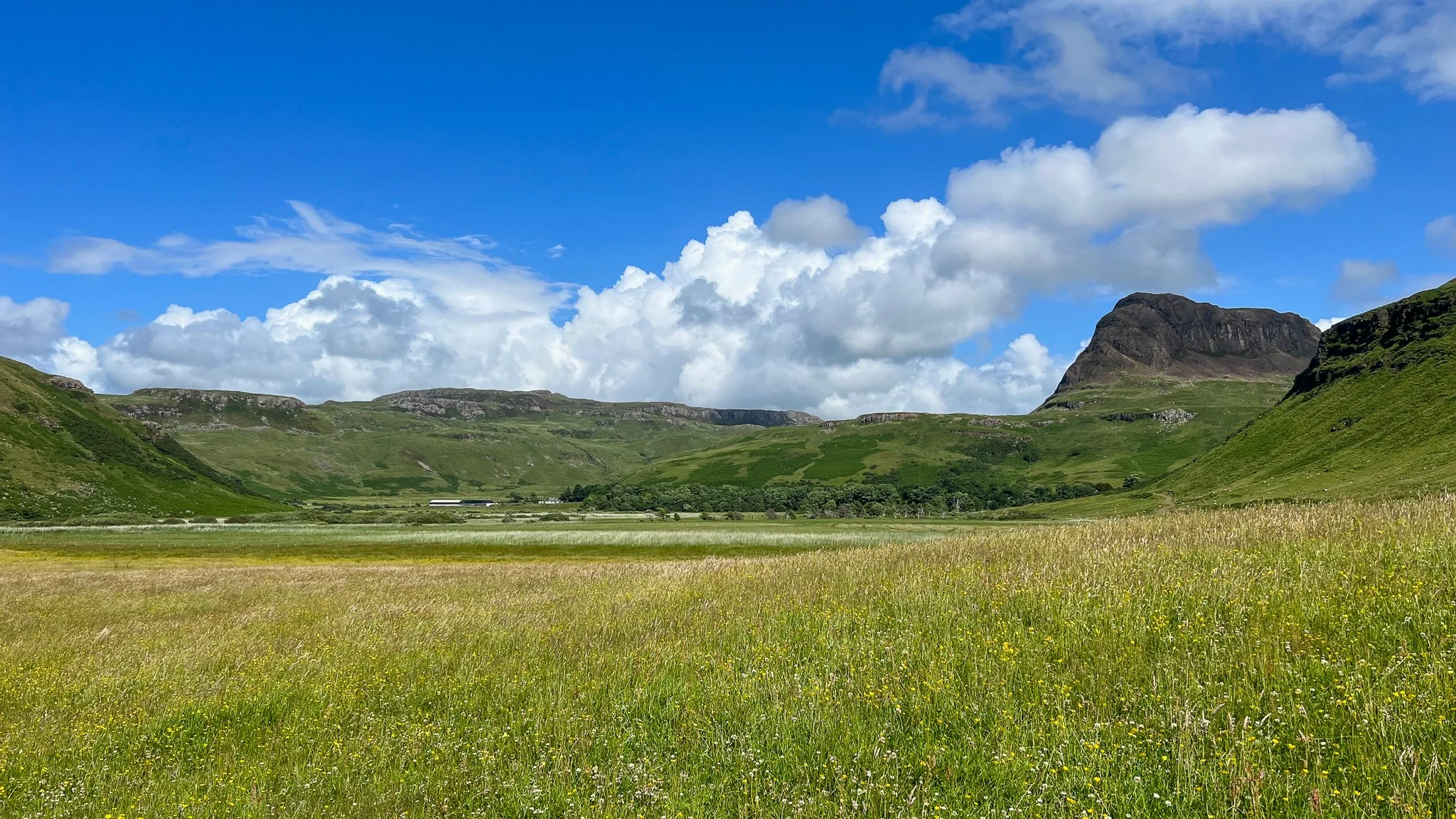 A wide green valley with grass and wildflowers surrounded by hills and mountains under a partly cloudy blue sky.