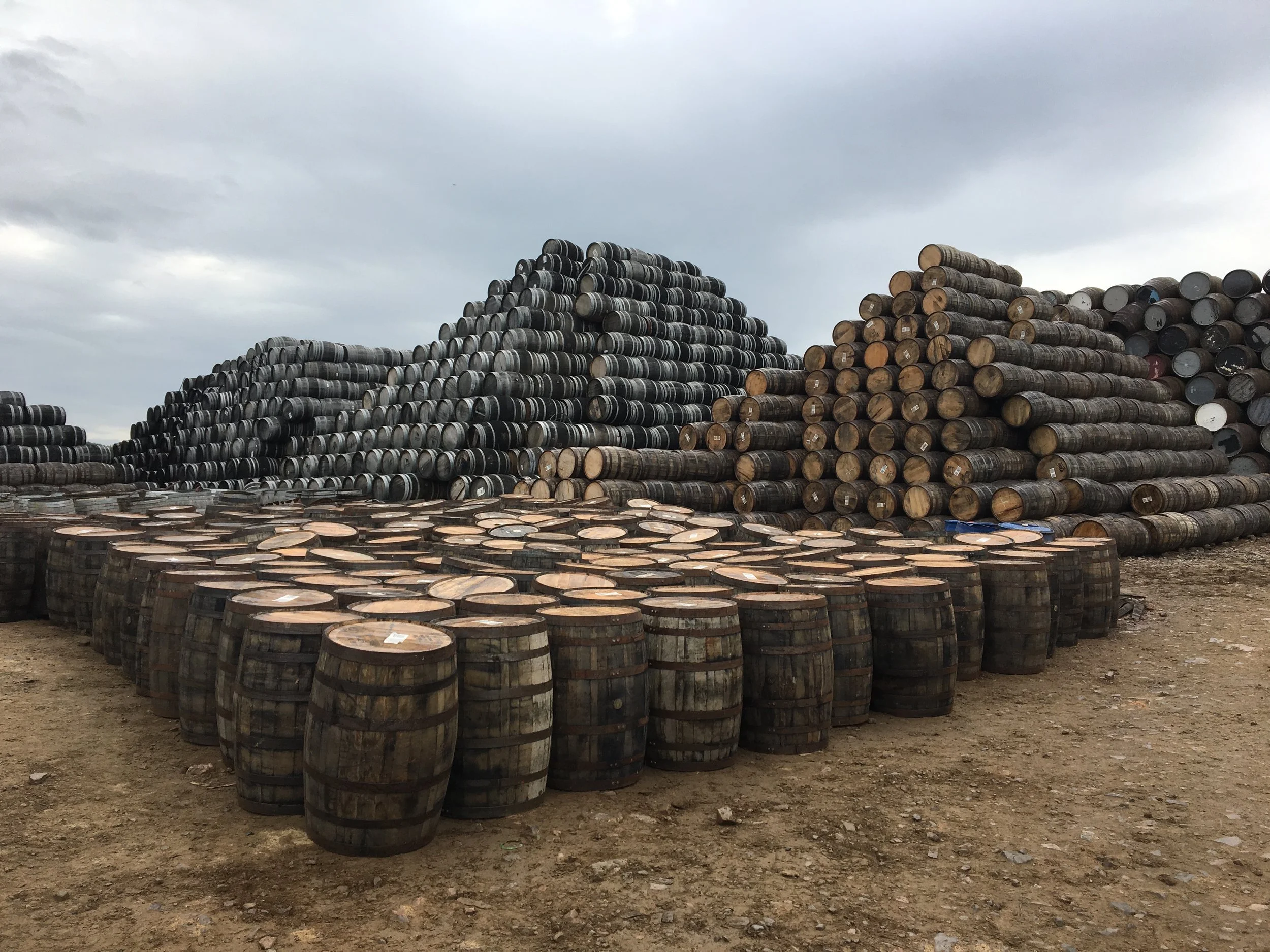 A large outdoor storage of stacked barrels, including whiskey or whisky barrels, on dirt ground under cloudy sky.
