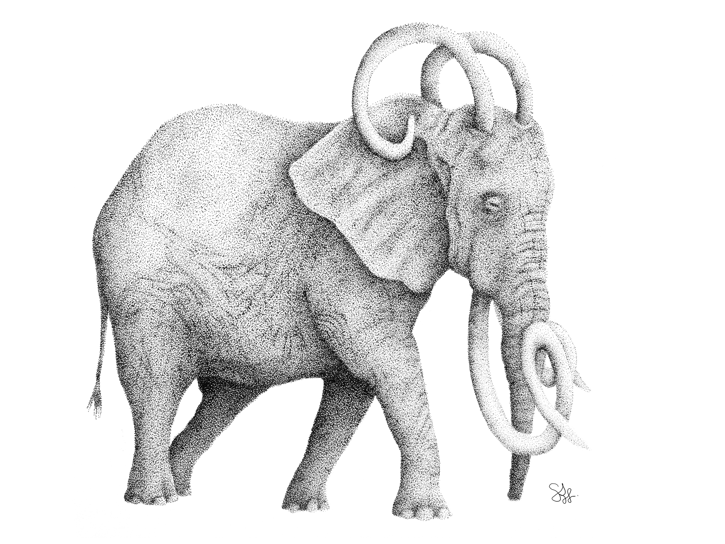 A dot art drawing of a lion standing on all fours, with a mane and tail, created with black dots on a white background.