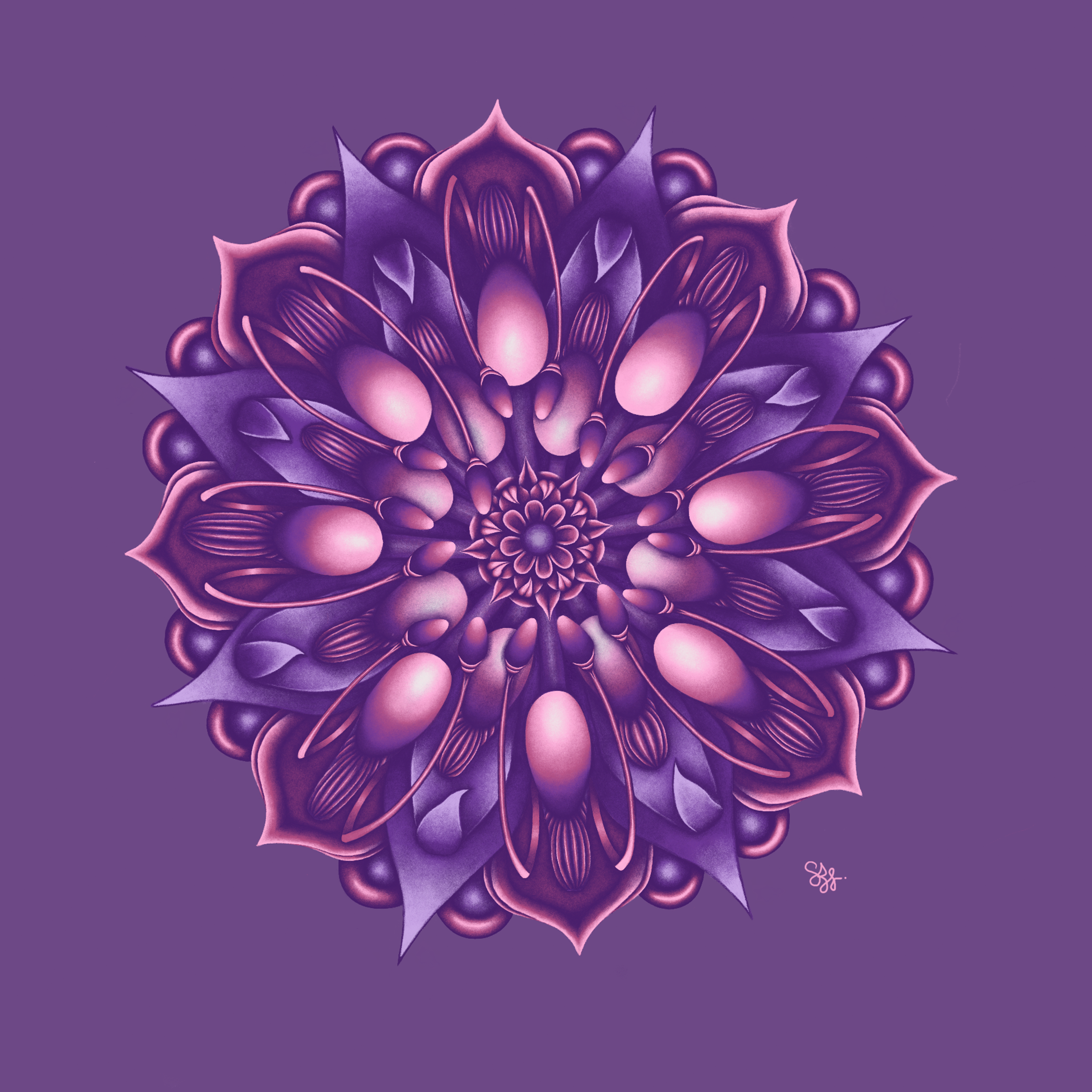 Digital illustration of a purple and pink abstract flower with intricate details on a purple background.