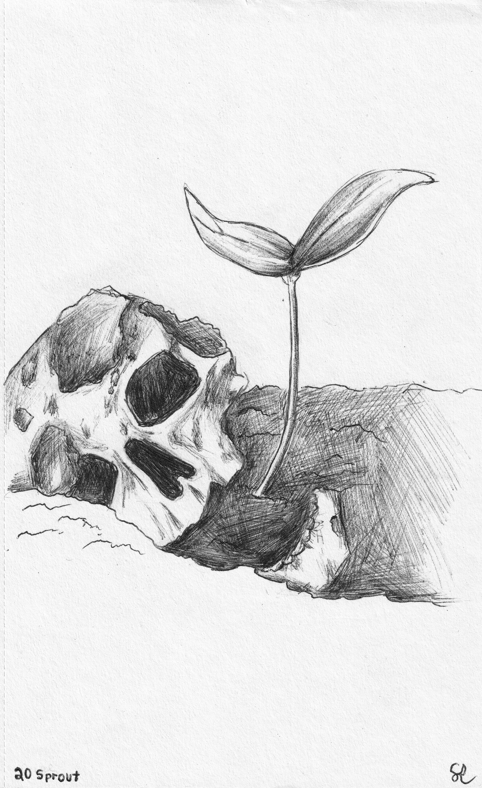 SPROUT
