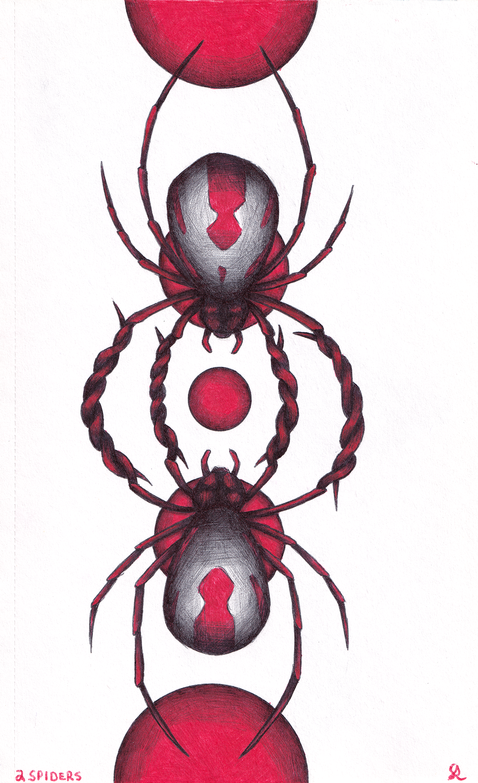 SPIDERS