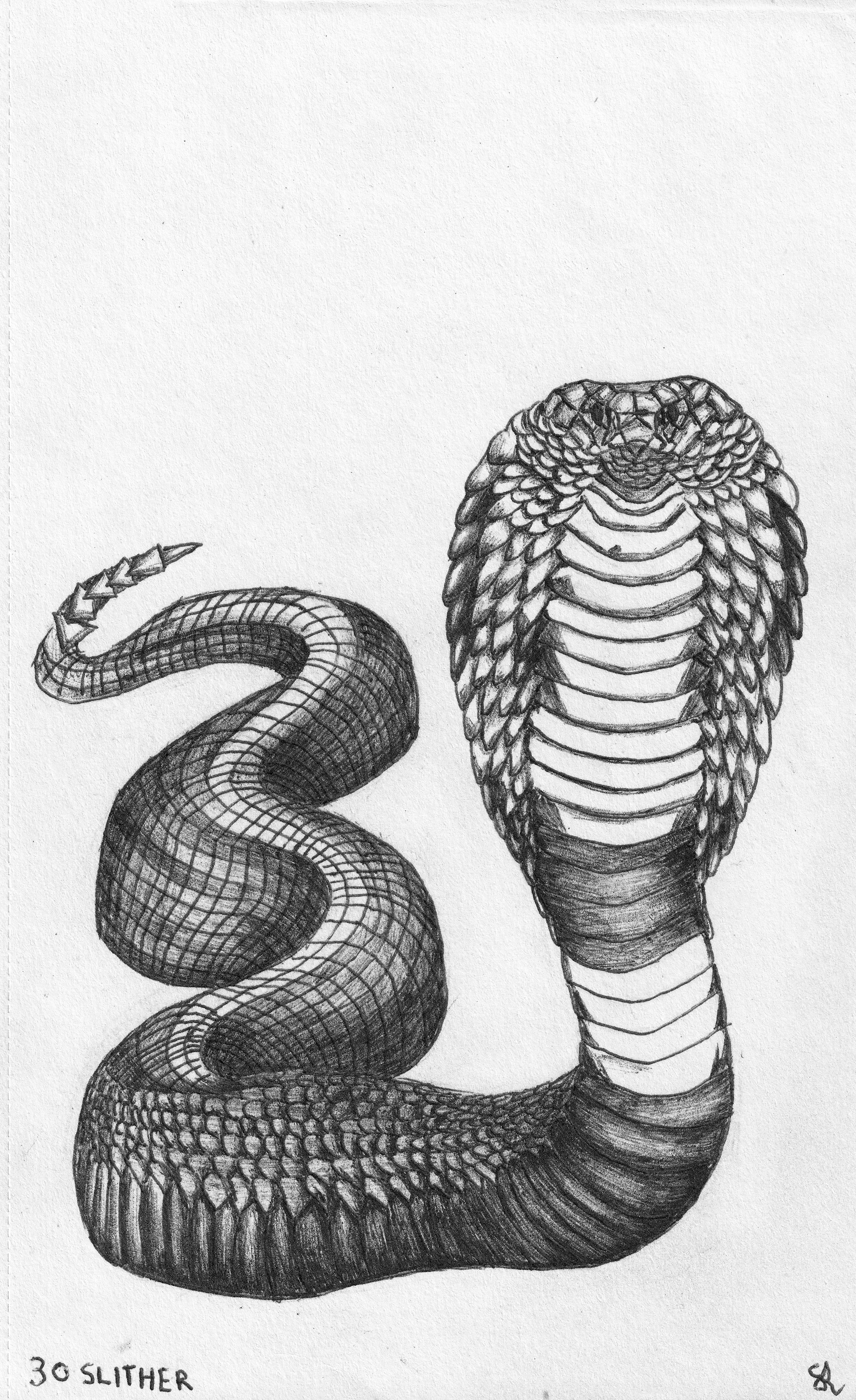 SLITHER