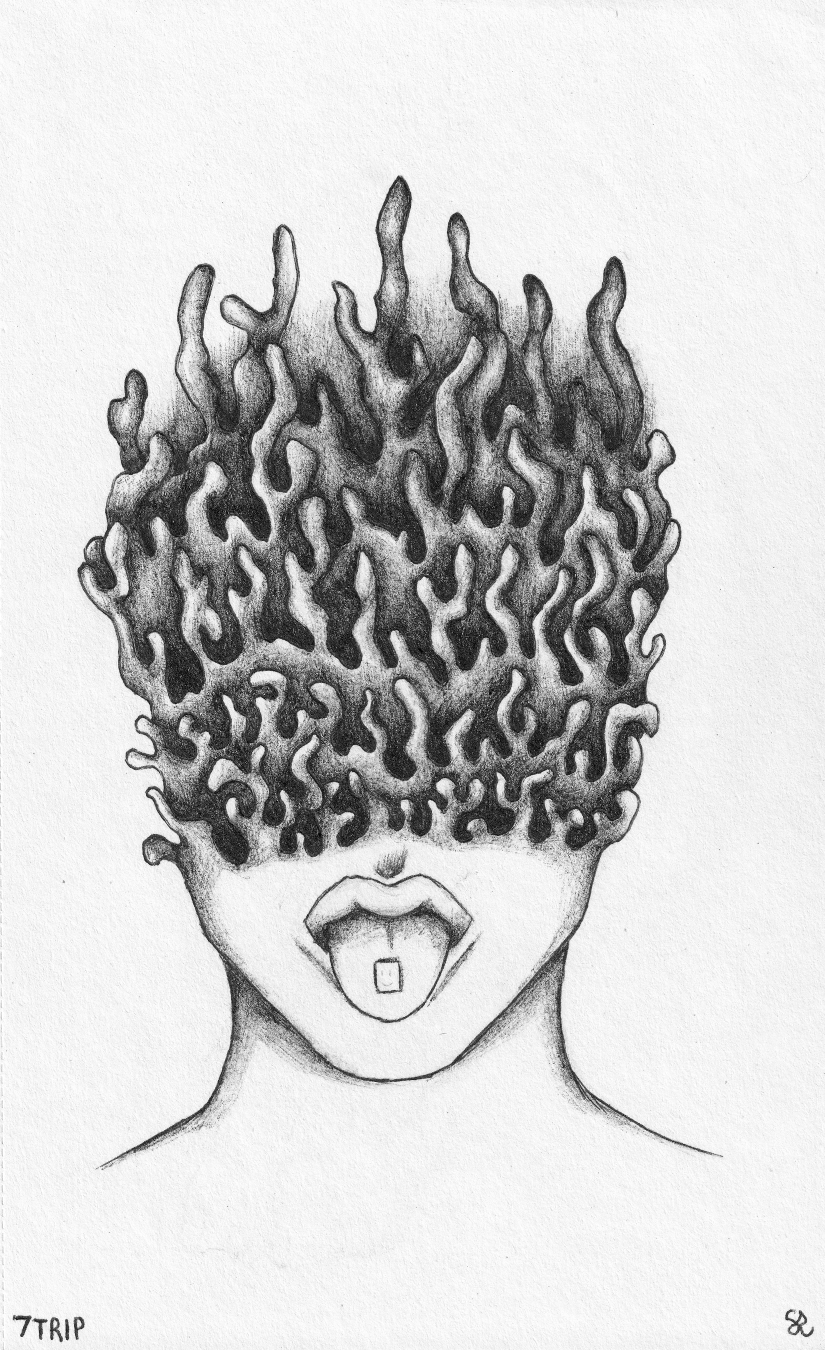 TRIP