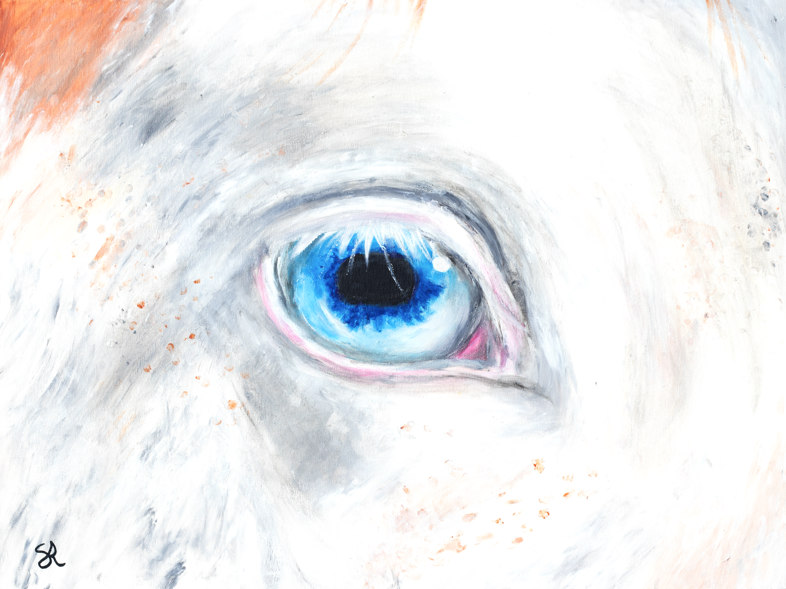 Close-up of an eye painted with blue, black, and white colors on a white textured background.