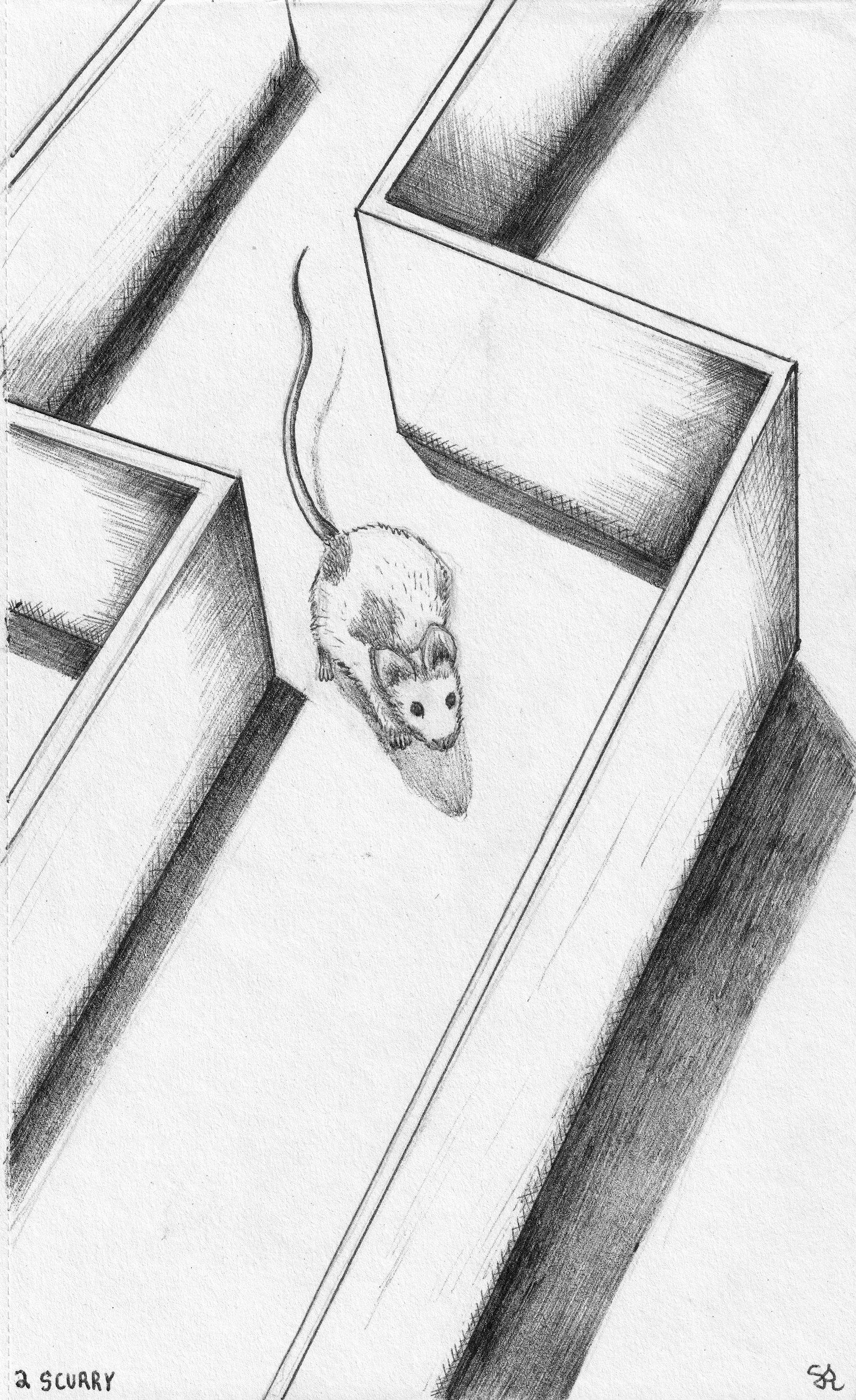 SCURRY