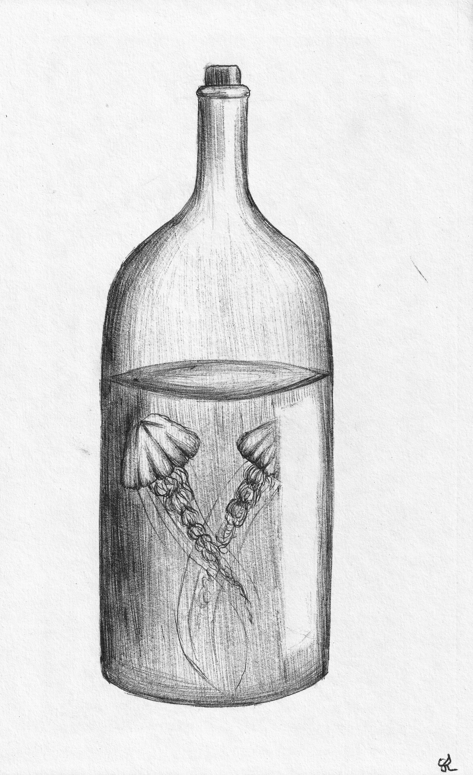 BOTTLE