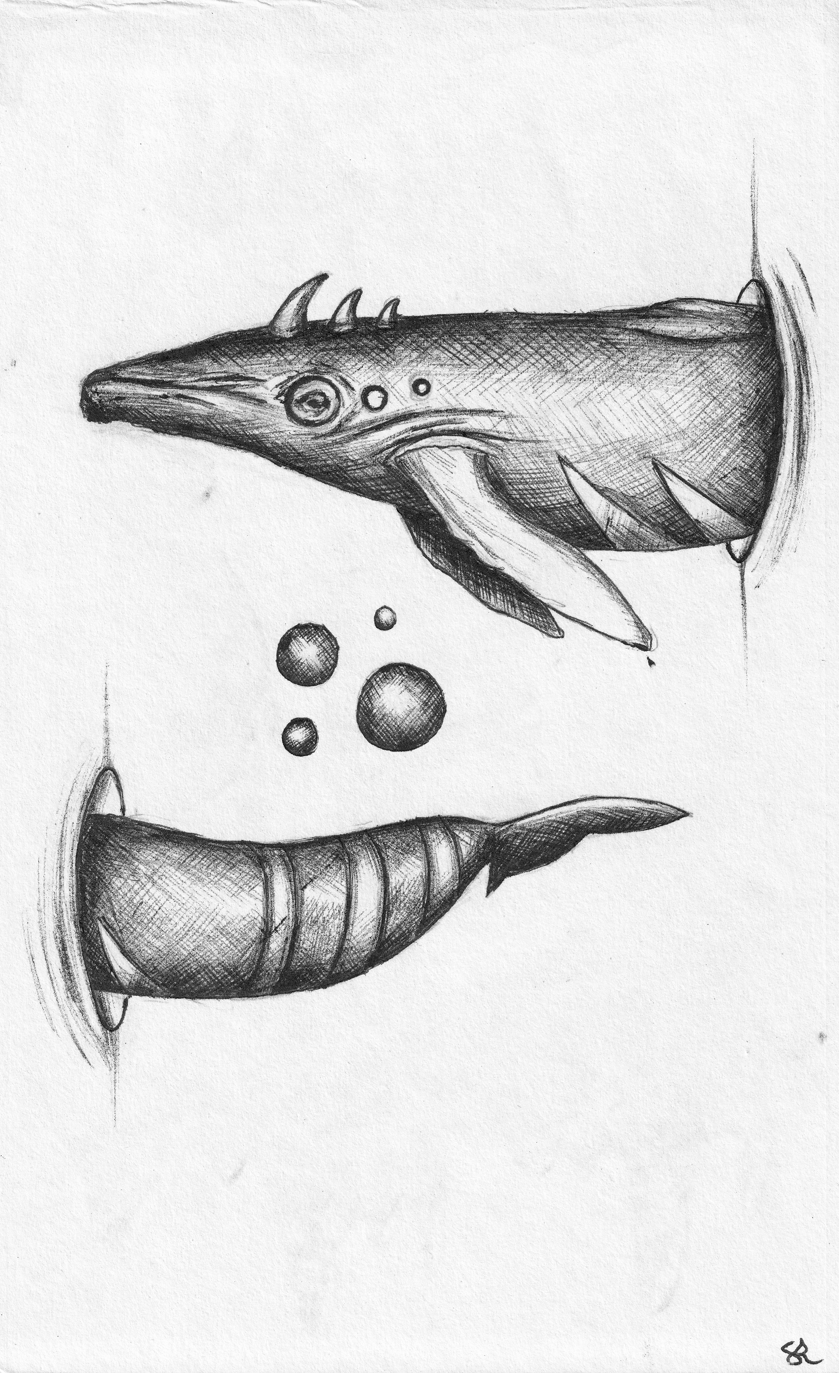 WHALE