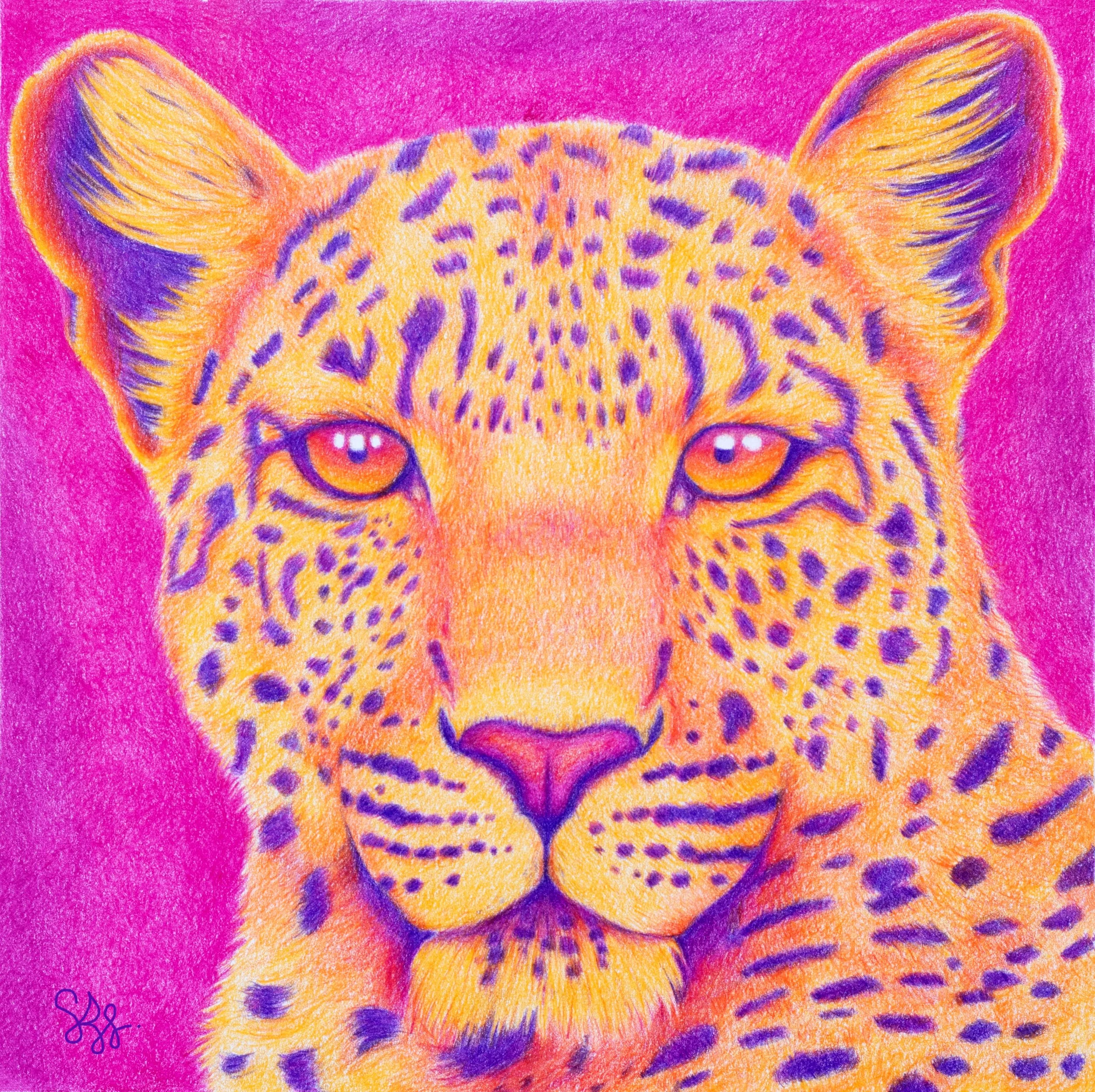 A colorful drawing of a leopard crouching with a pink background.