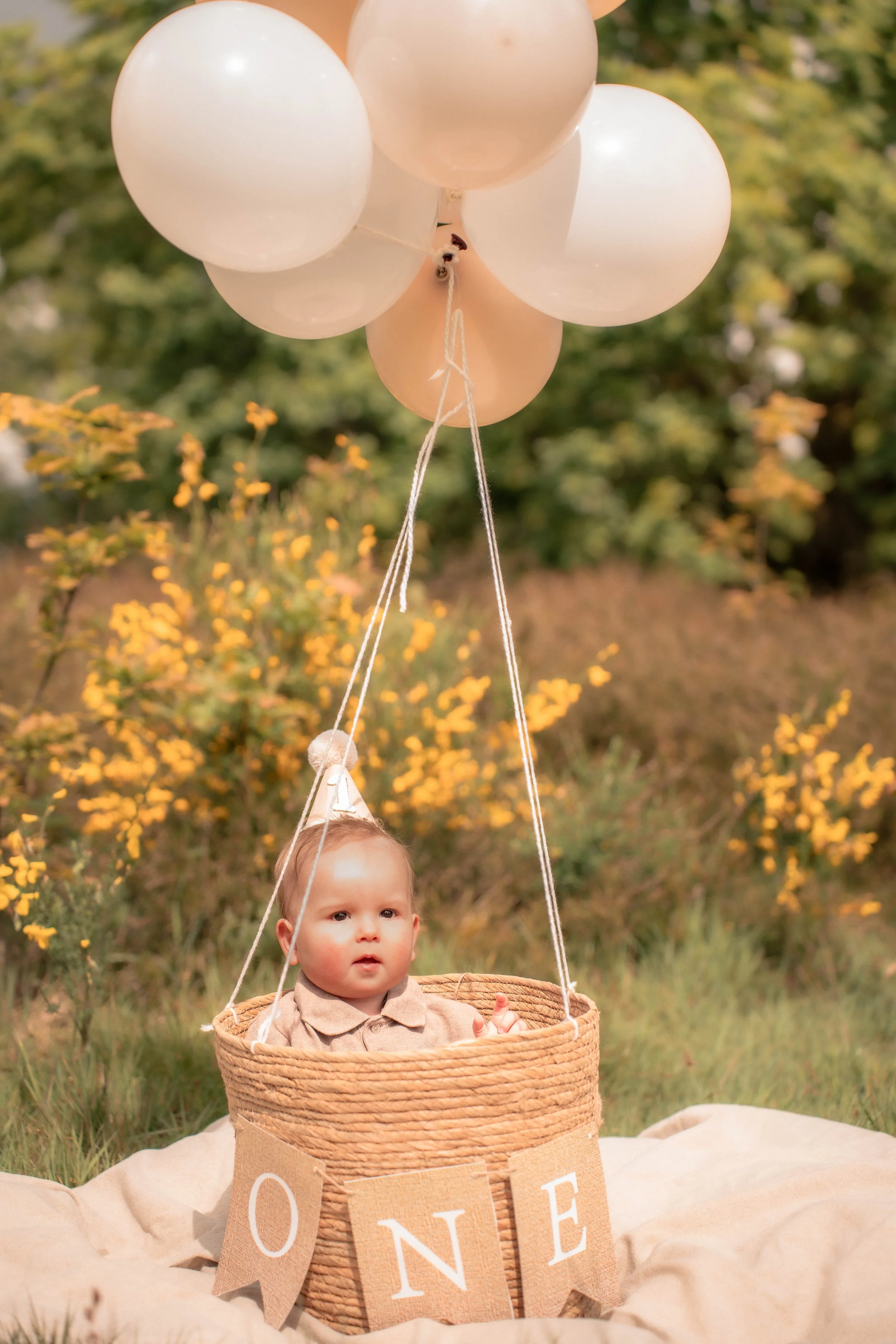 Een peuter in een mandje dat aan ballonnen hangt, met een herfstbos op de achtergrond.