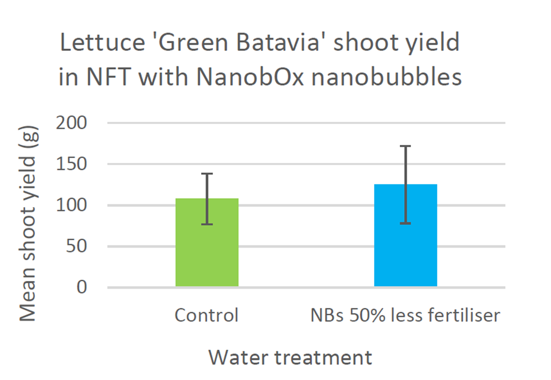 Bar graph showing mean shoot yield in grams of lettuce 'Green Batavia' under control and water treatment with NanobOx nanobubbles, indicating higher yield with less fertilizer.