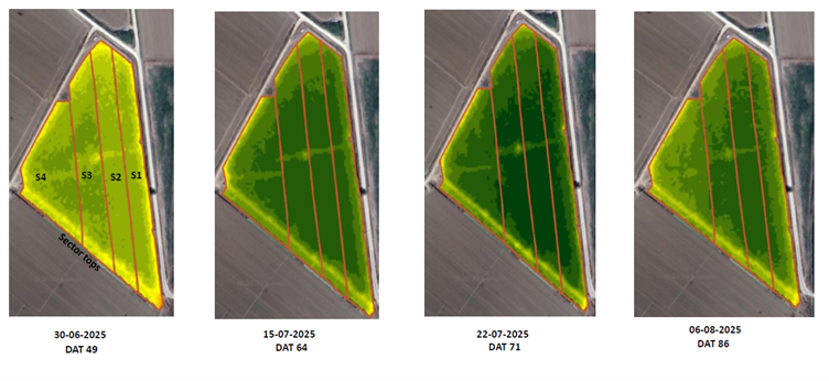 Aerial images of a triangular field taken on four different dates, showing the progression of crop growth and health, with sections labeled S1 to S4, and sector tops marked.