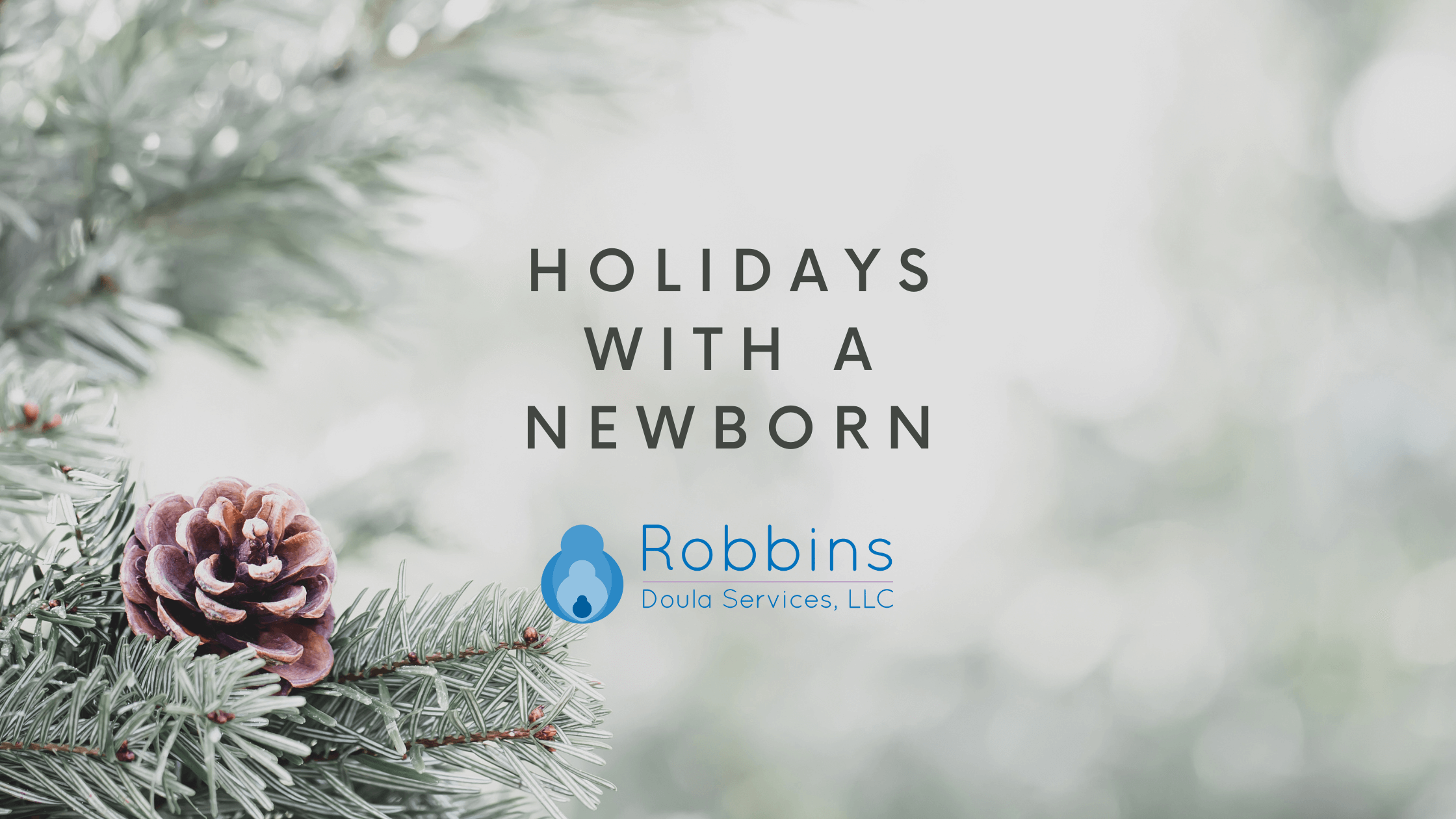 Holidays With A Newborn