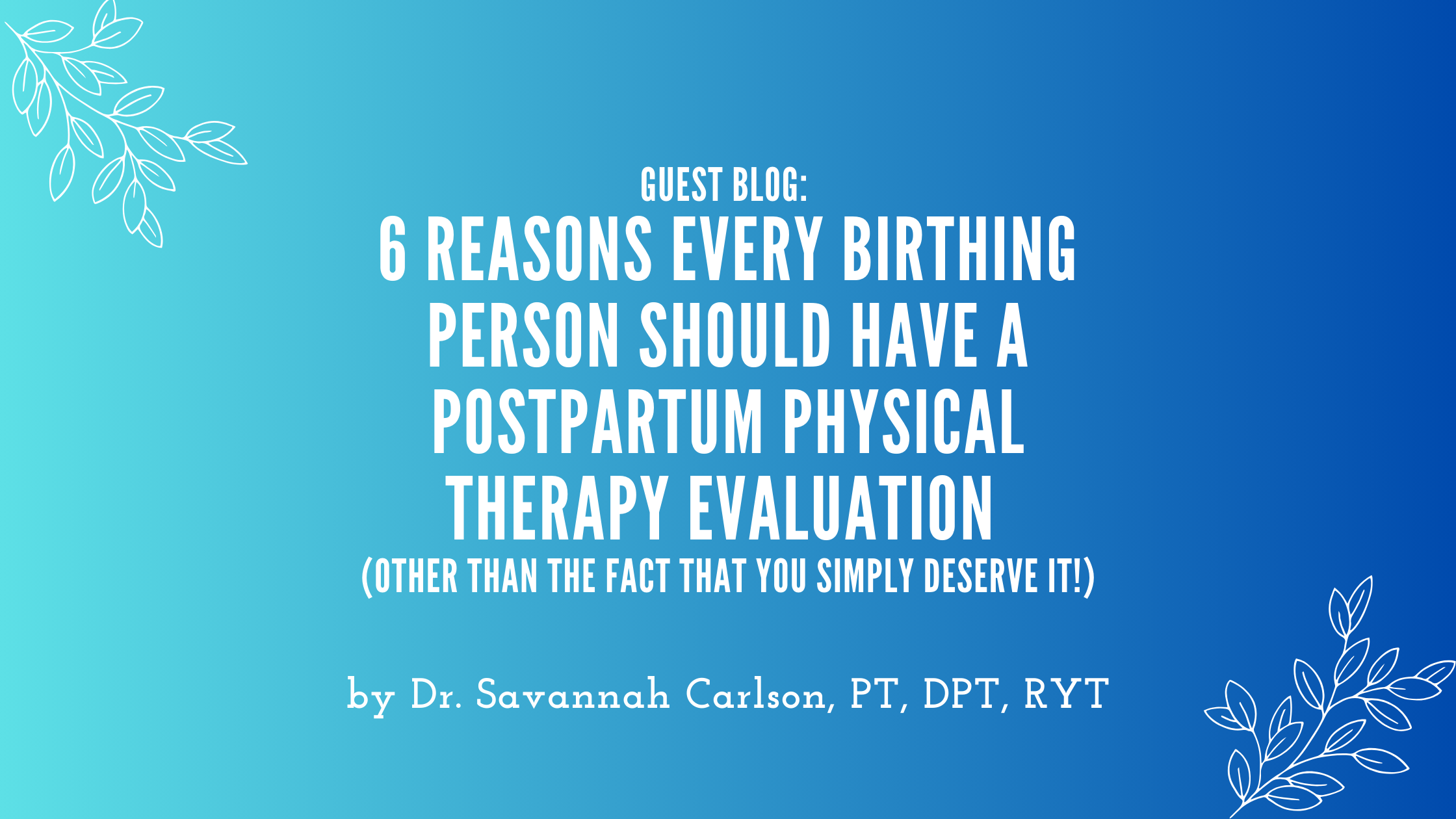 Guest Blog: 6 Reasons Every Birthing Person Should Have a Postpartum Physical Therapy Evaluation (other than the fact that you simply deserve it!)