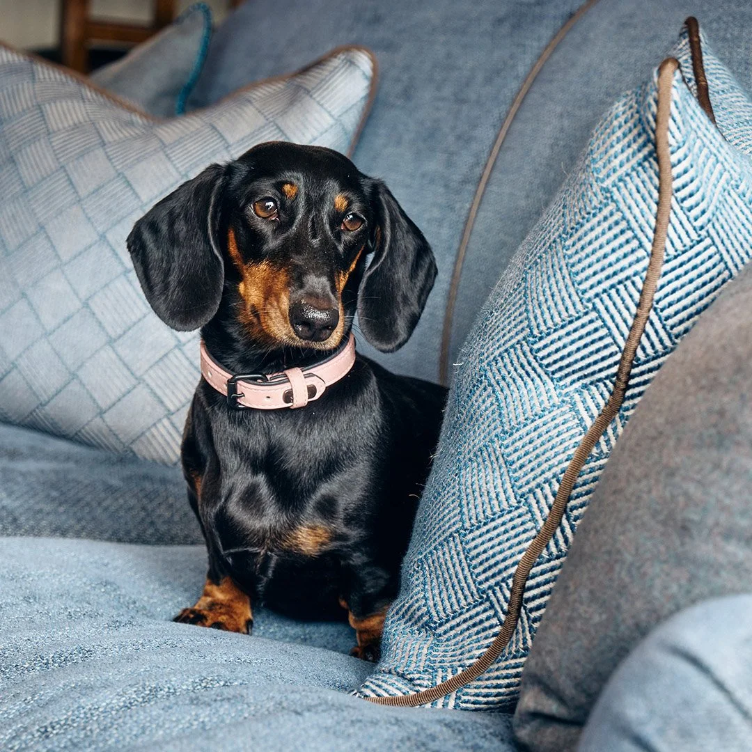 Turmeric Paste 11.jpg