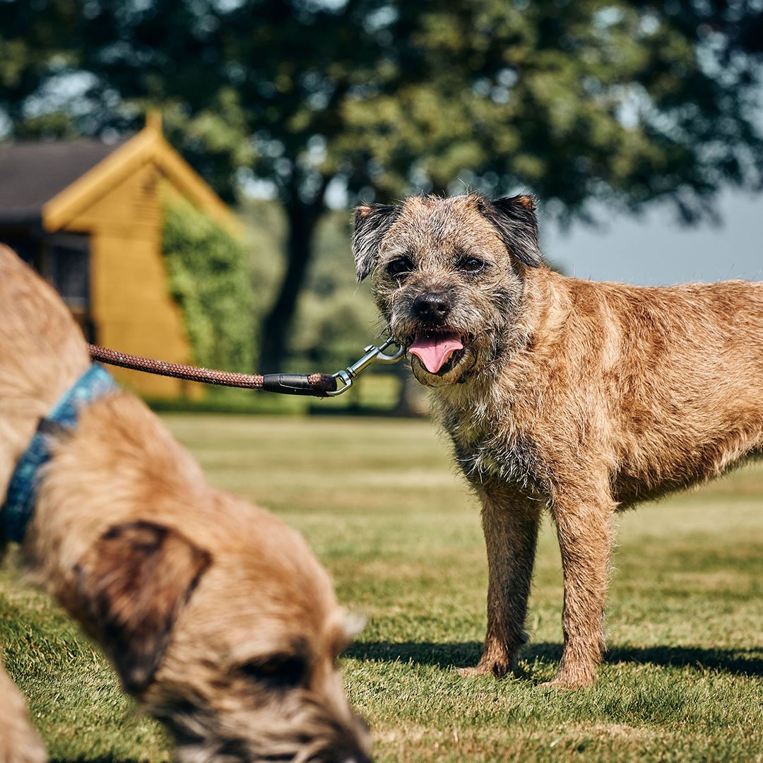 Turmeric Paste 09.jpg