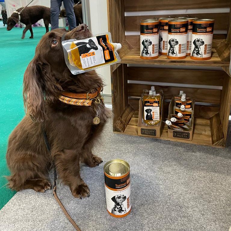 Turmeric Paste 05.jpeg