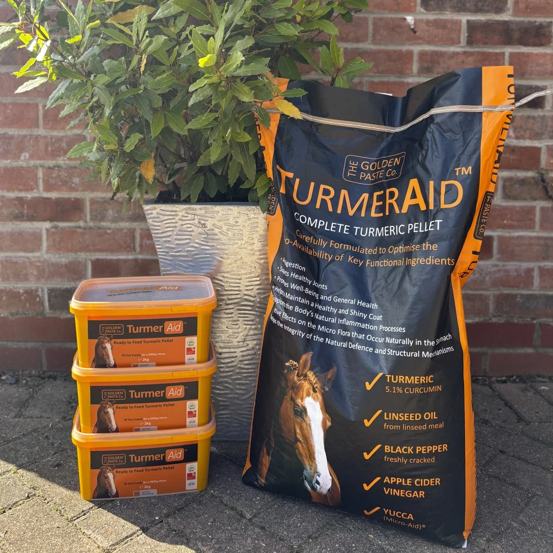 TurmerAid-8.jpg