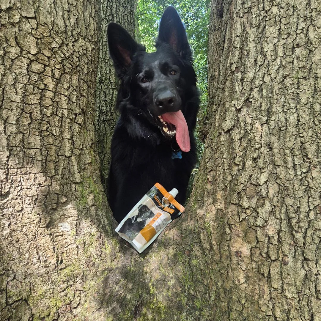 Turmeric Paste 07.jpg