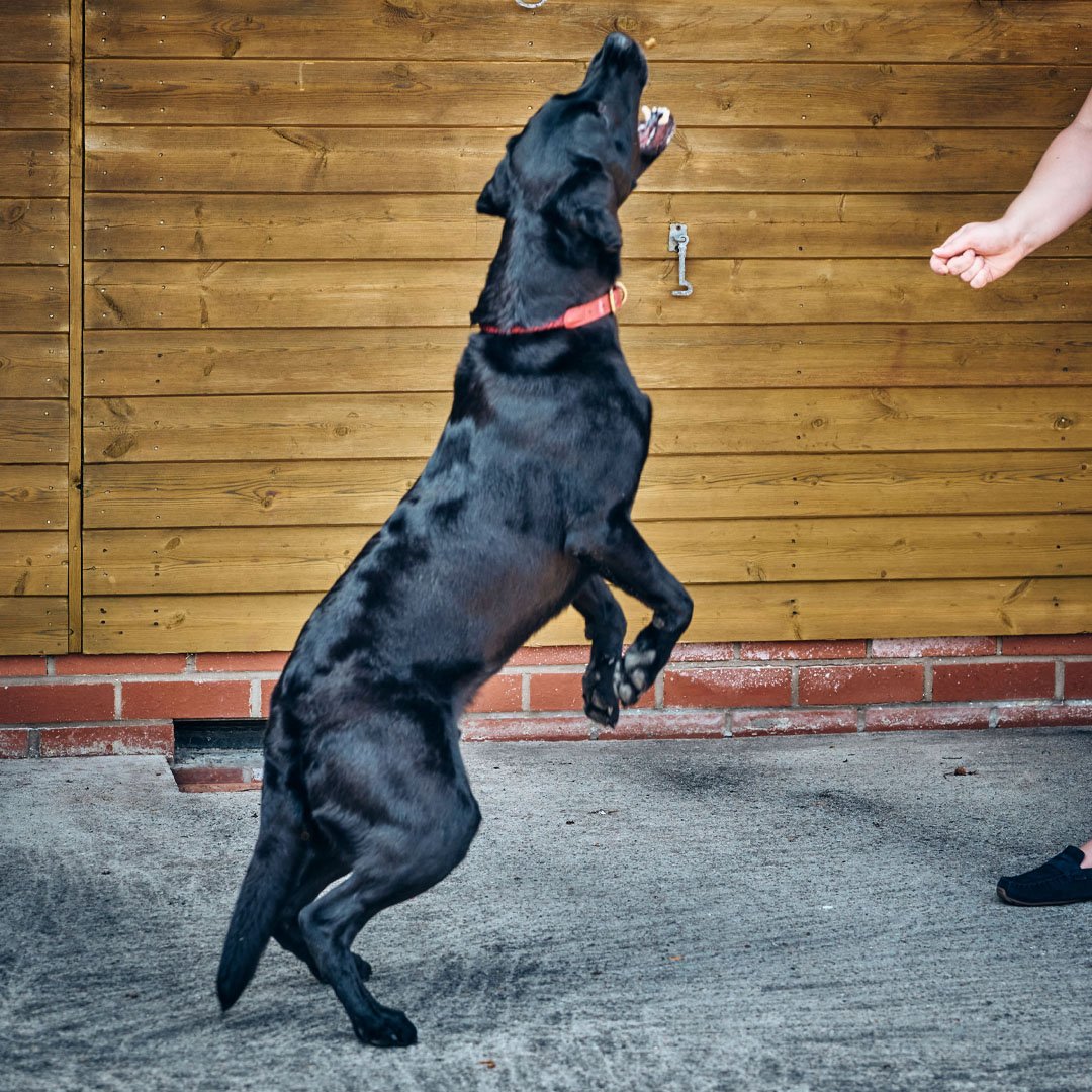 Turmeric Paste 10.jpg