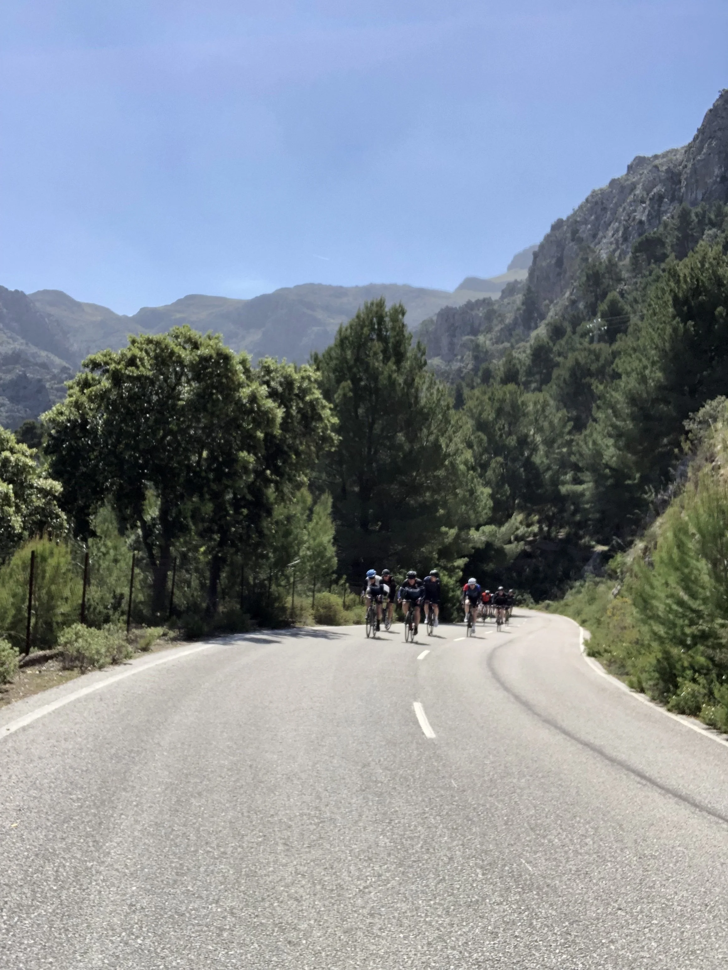 Cykelrejse til Mallorca – styrk netværk og relationer gennem fælles træning i smukke bjerge og langs kysten. Deltag i en aktiv netværksrejse med landevejscykling, fællesskab og oplevelser i Mallorcas natur.