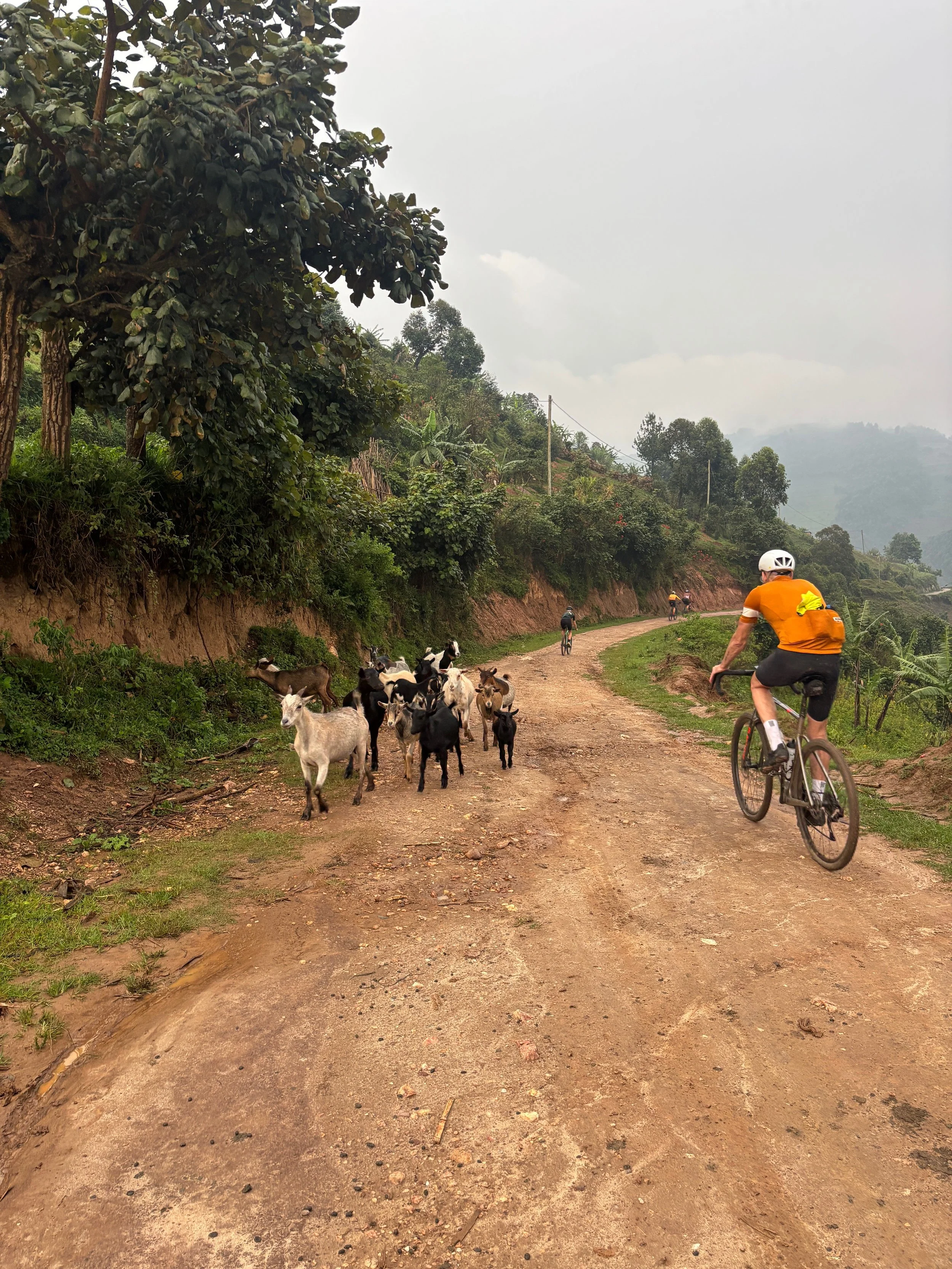 Gravel netværksrejse til Uganda og Rwanda – oplev unikke møder med natur og kultur på tværs af Afrika. Skab stærke relationer gennem cykling, fællesskab og eventyr på en anderledes virksomhedsrejse.