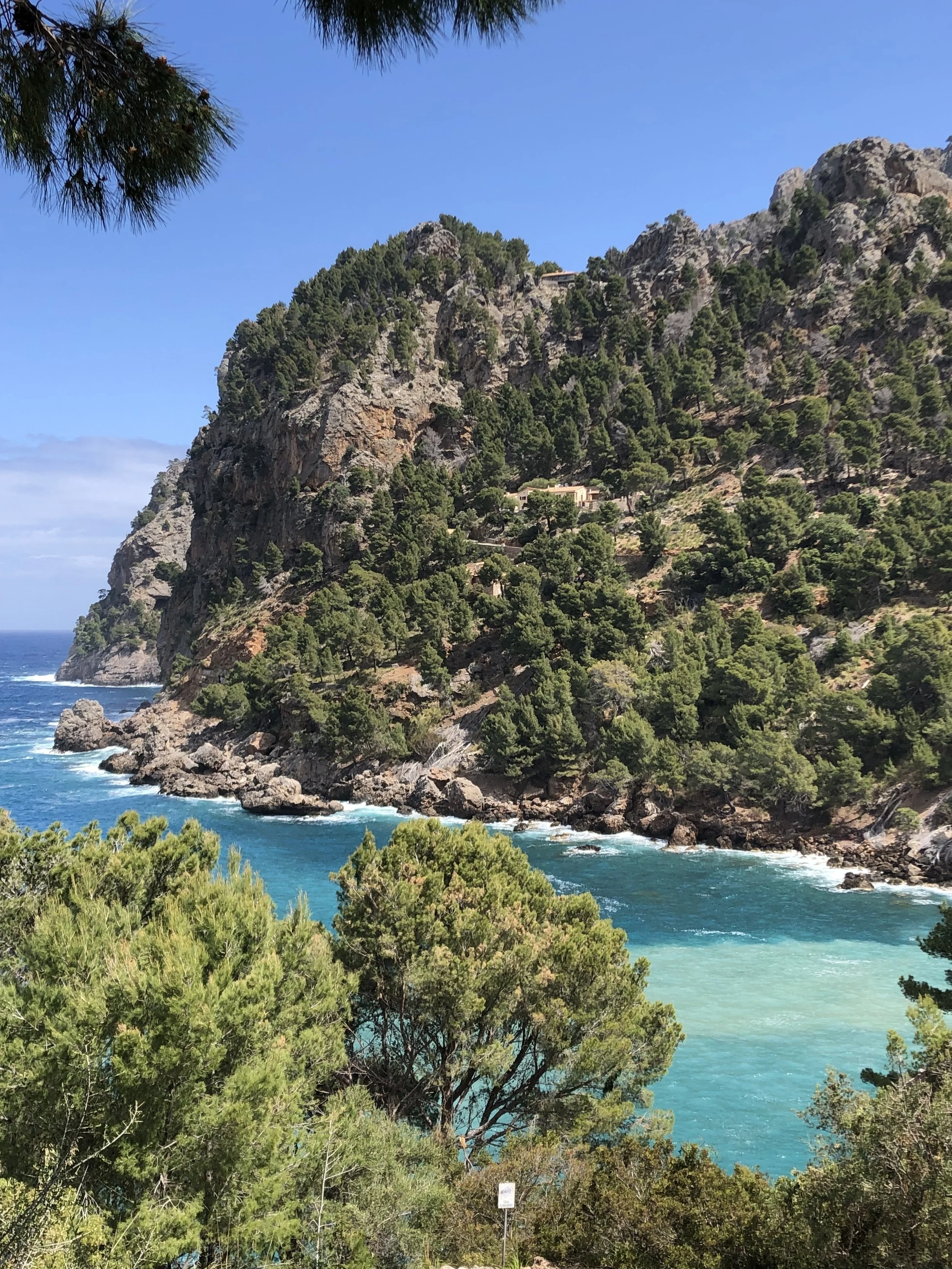 Netværksrejse til Mallorca – kombiner cykling, fagligt fællesskab og unikke naturoplevelser i solen. Skab stærke relationer på en aktiv virksomhedsrejse med cykling og sociale oplevelser på Mallorca.