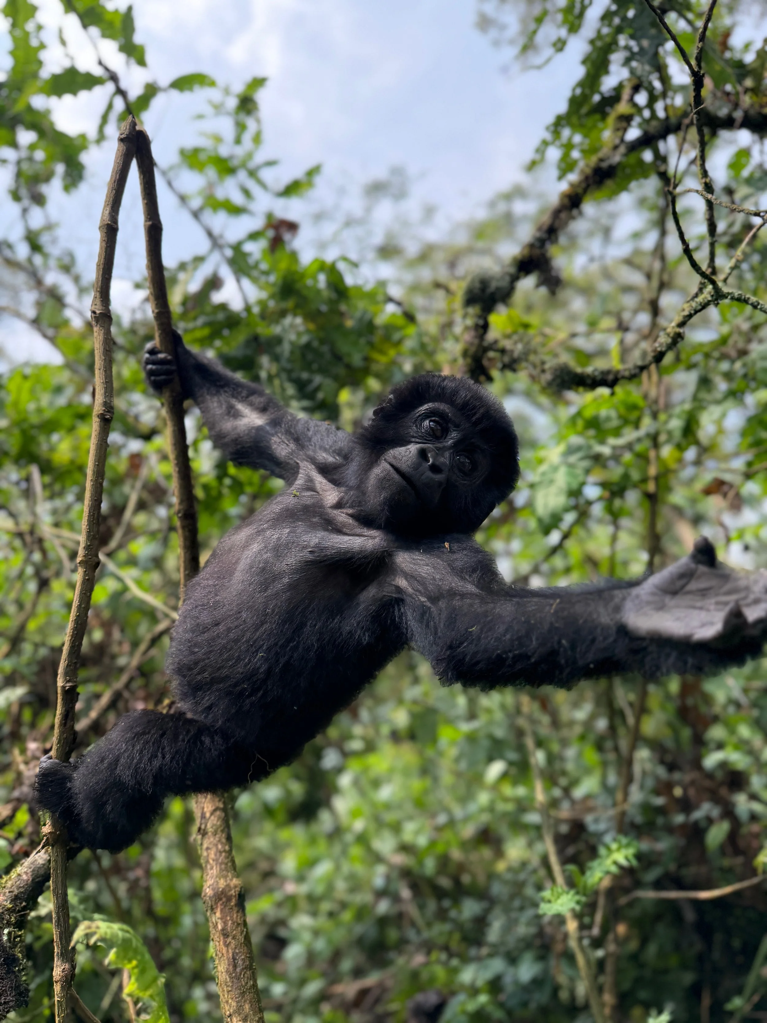 Gravel netværksrejse til Uganda og Rwanda – oplev unikke møder med natur og kultur på tværs af Afrika. Skab stærke relationer gennem cykling, fællesskab og eventyr på en anderledes virksomhedsrejse.