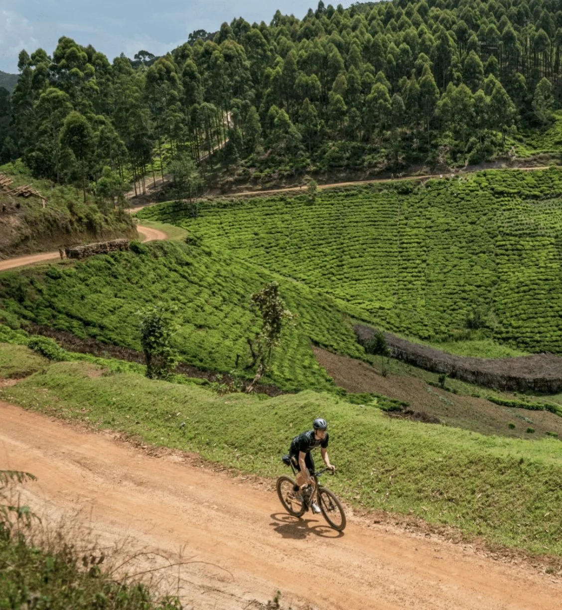 Gravel netværksrejse i Uganda og Rwanda – kom tæt på lokale kulturer og naturoplevelser uden for de klassiske ruter. Deltag i en aktiv rejse med fokus på netværk, perspektiv og oplevelser i Afrikas landskaber.