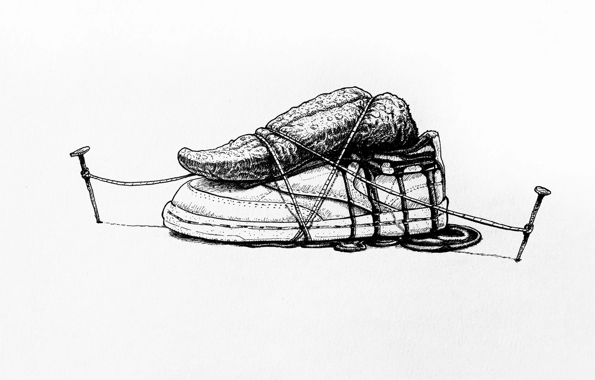 An ink illustration of a sneaker with a severed cow's tongue on top of it. The tongue is secured with ropes and nails.