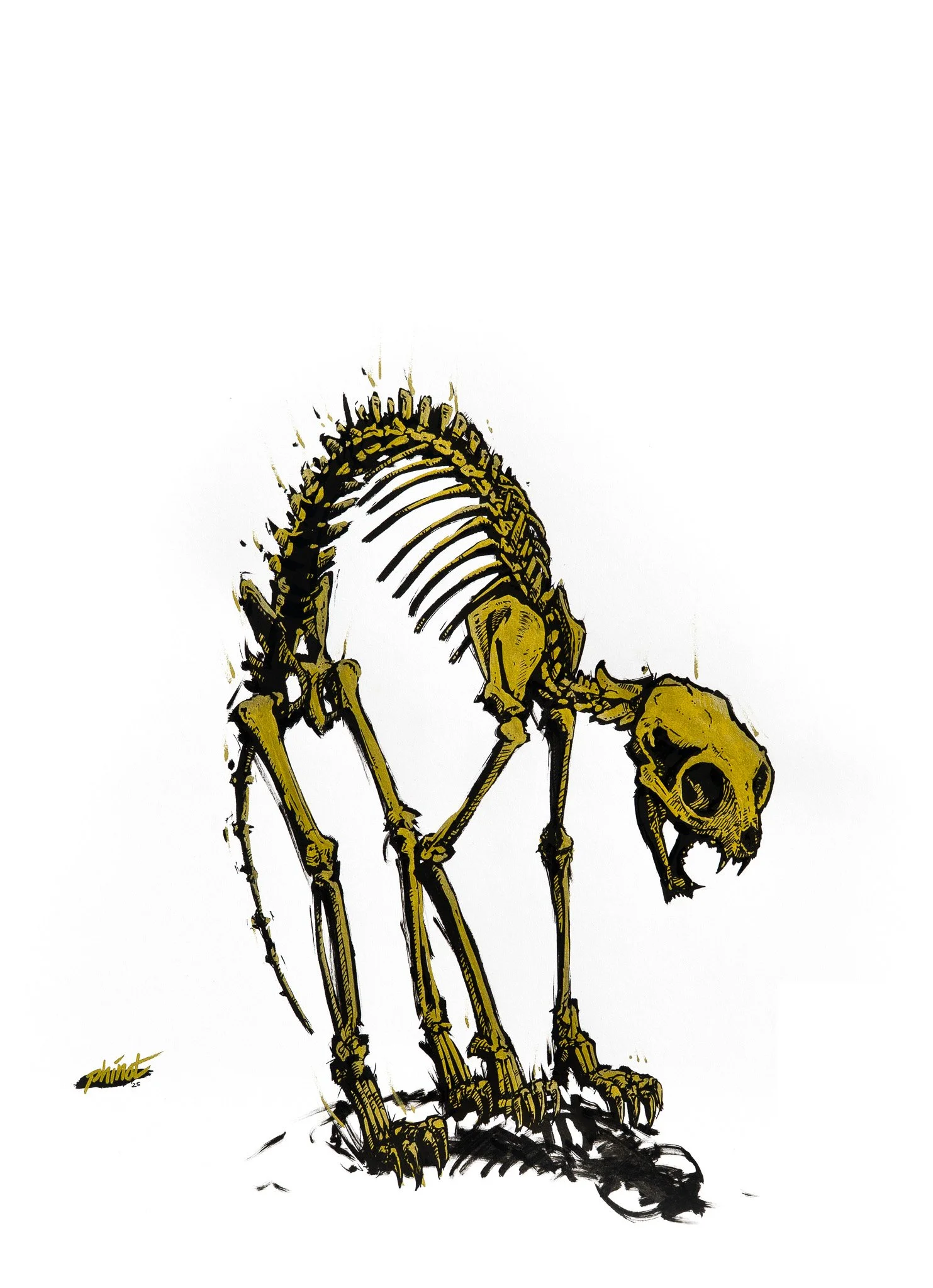 Illustration of a cat skeleton in golden colors. The cat posture is signals high alert.