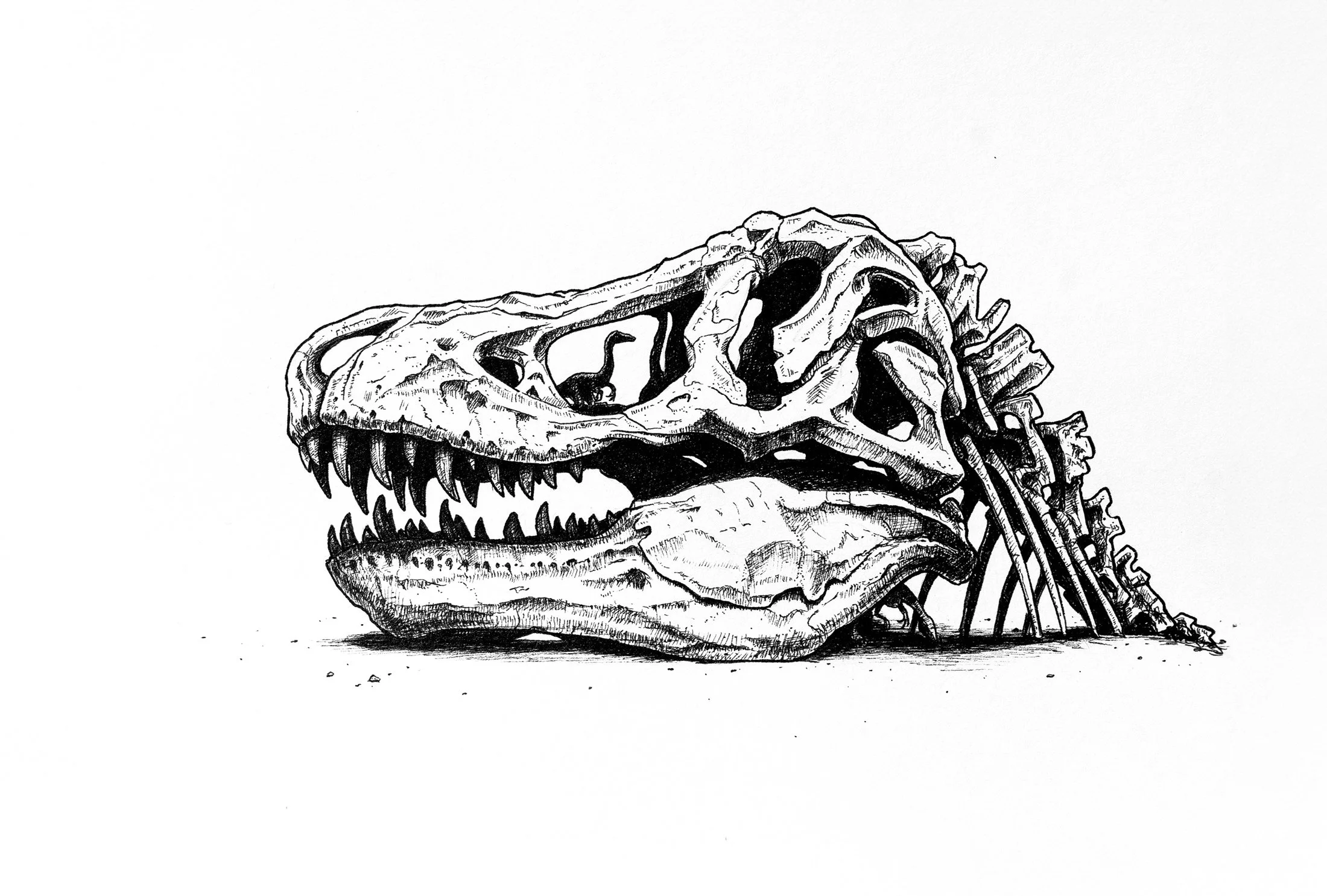 An ink  illustration of a T-Rex Skull, with detailed teeth, eye socket, and nasal cavity. A tiny compsognathus dinosaur is hiding the skull.