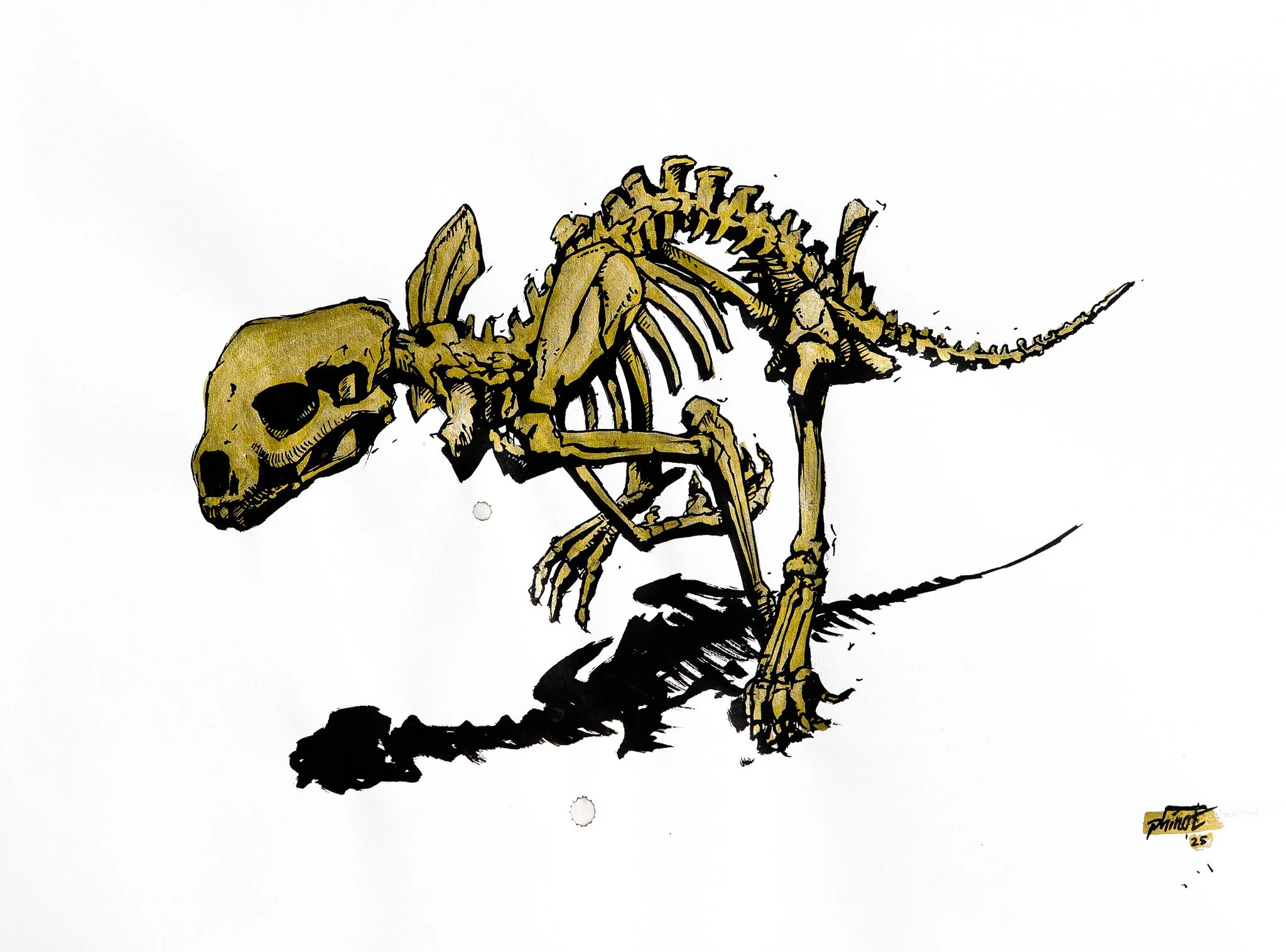 Illustration of a golden cheetah skeleton in full sprint.