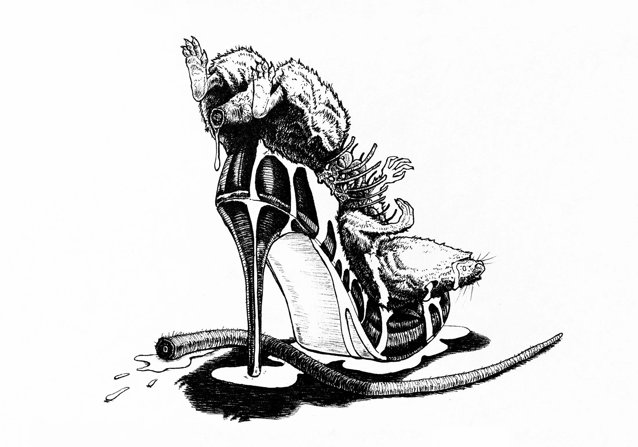 Ink illustration of a dead rat lying on a woman's shoe.