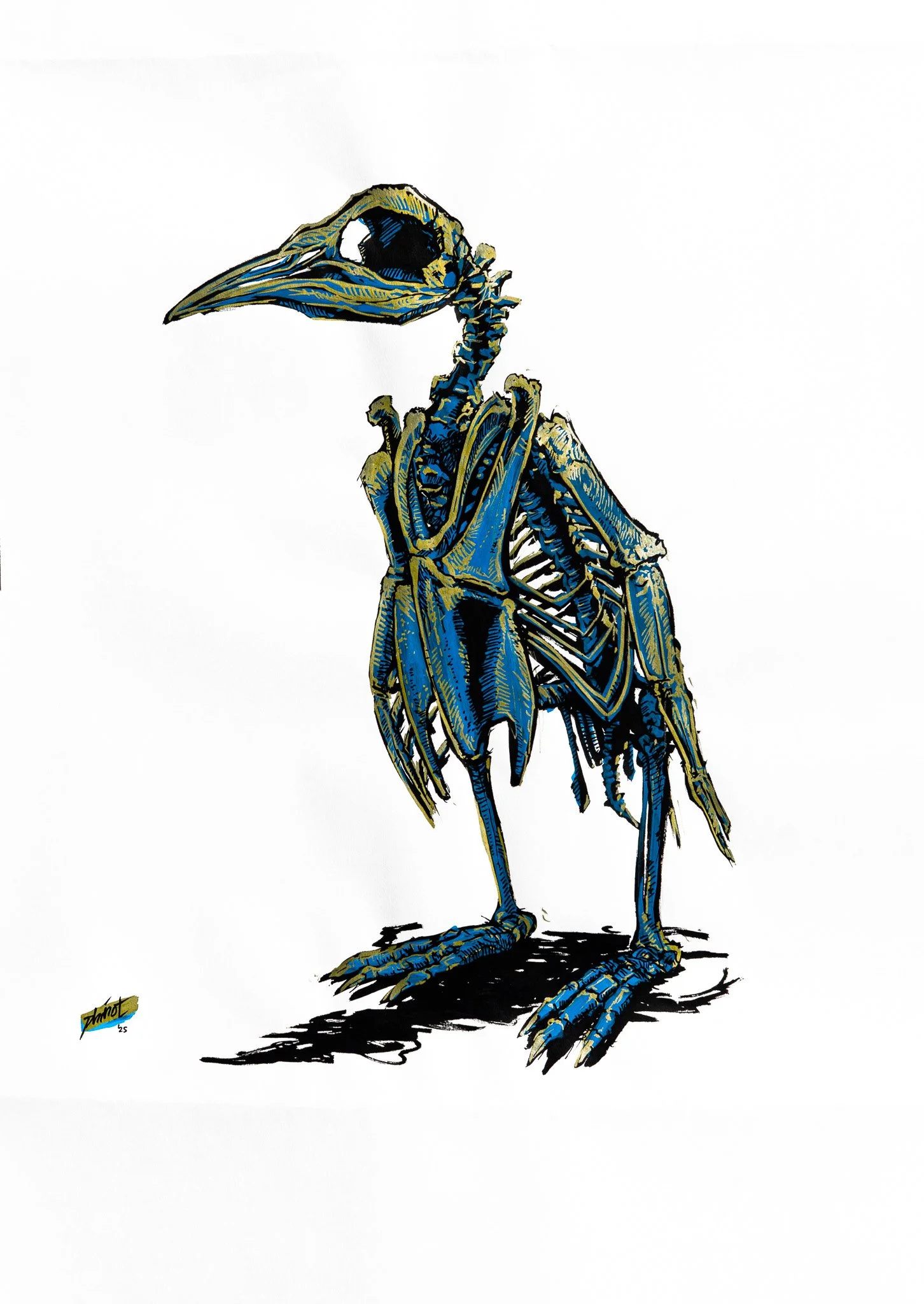 Illustration of a arctic penguin skeleton in blue and golden colours.