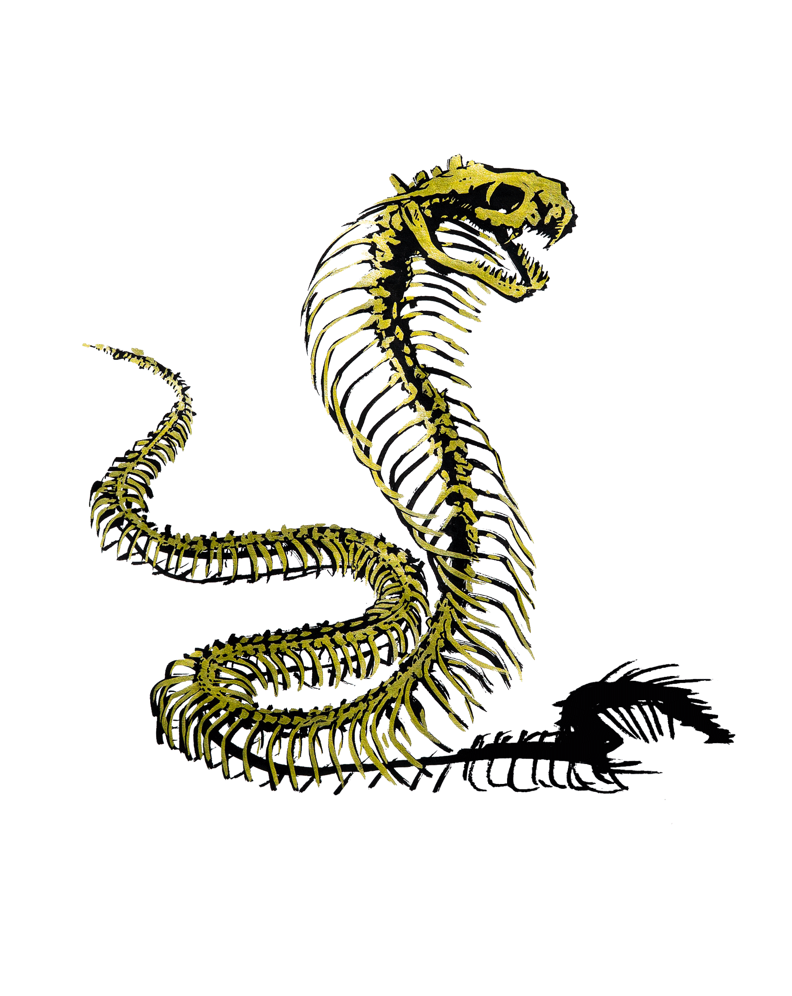 Illustration of a golden Cobra skeleton.