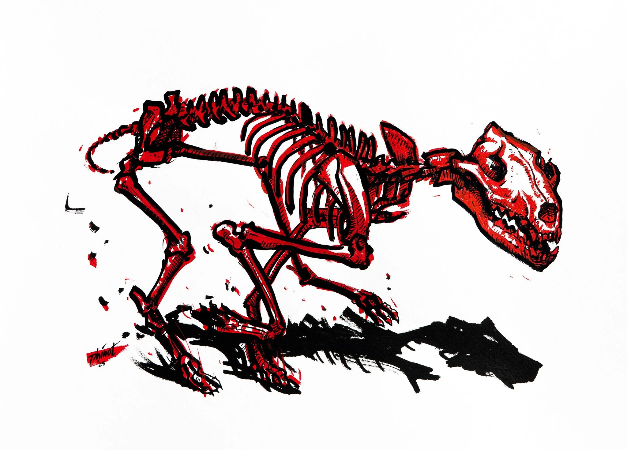 Red and black illustration of wolf skeleton, sprinting forward energetic.
