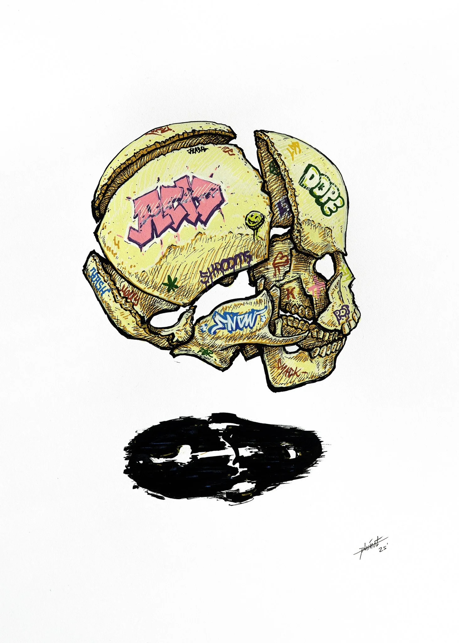 Colorful illustration of a human skull with graffiti-style words and drawings on it, casting a shadow below.