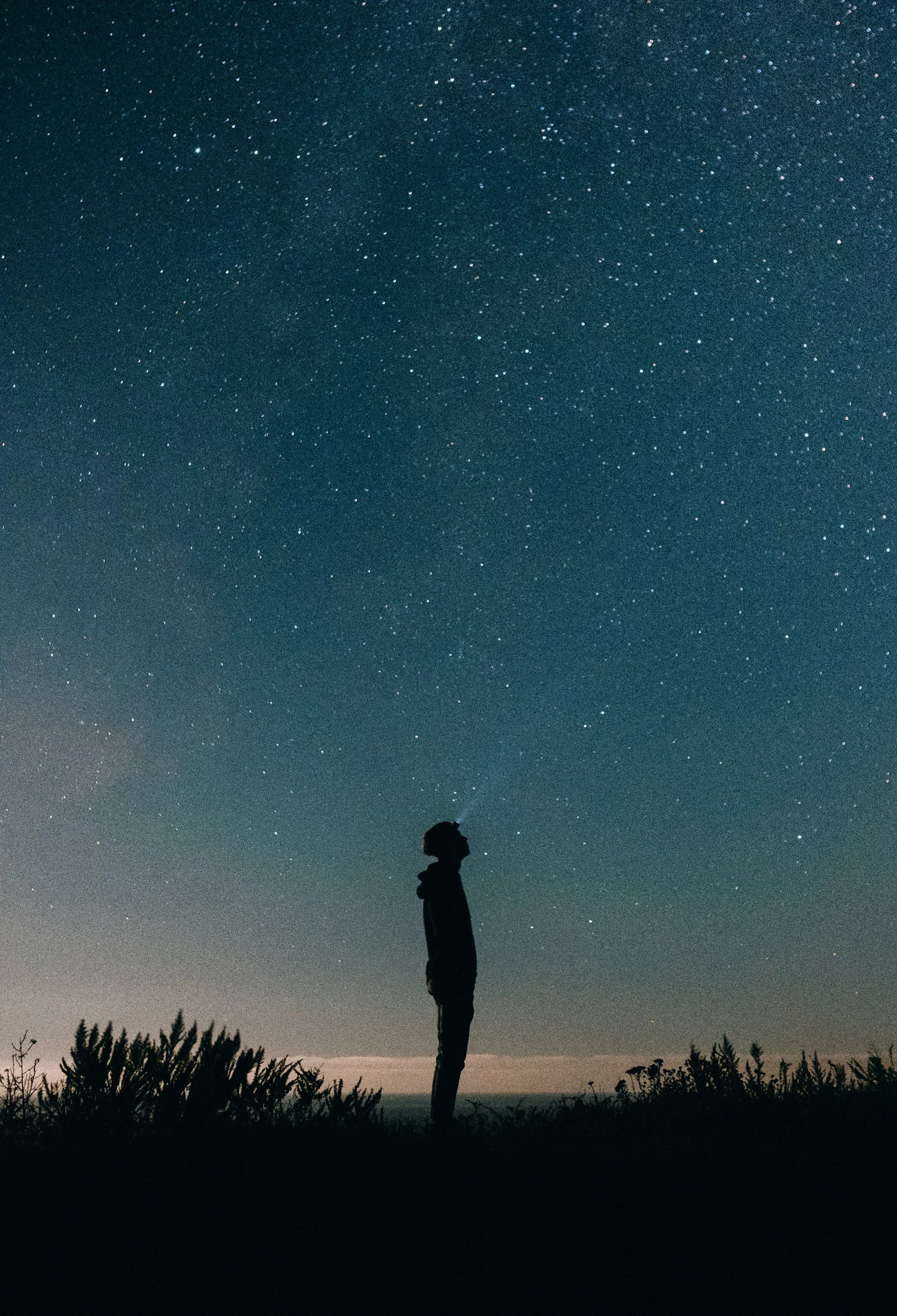 Silhouette of a person standing outdoors at night, gazing at a star-filled sky.