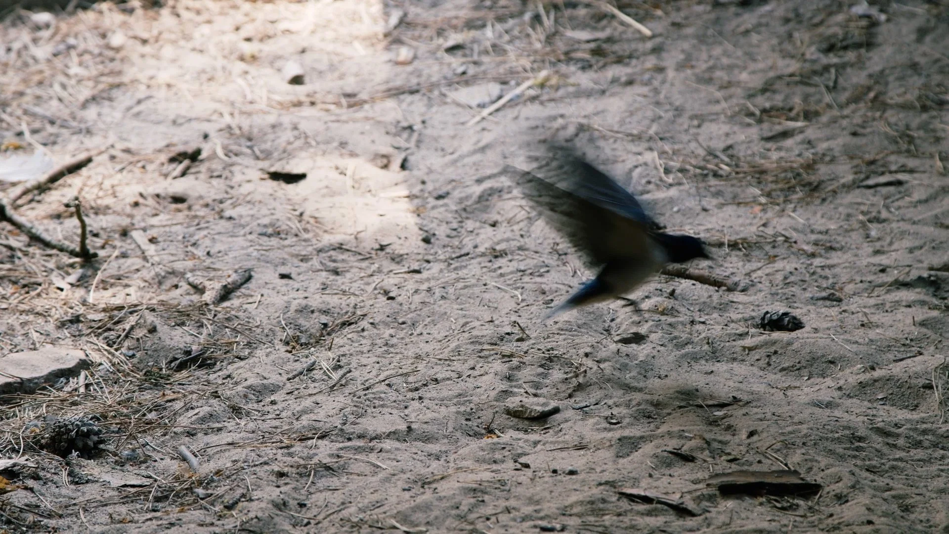 TRAILER  FINAL incl. Subtitels_1.00_14_55_14.Standbild011.jpg