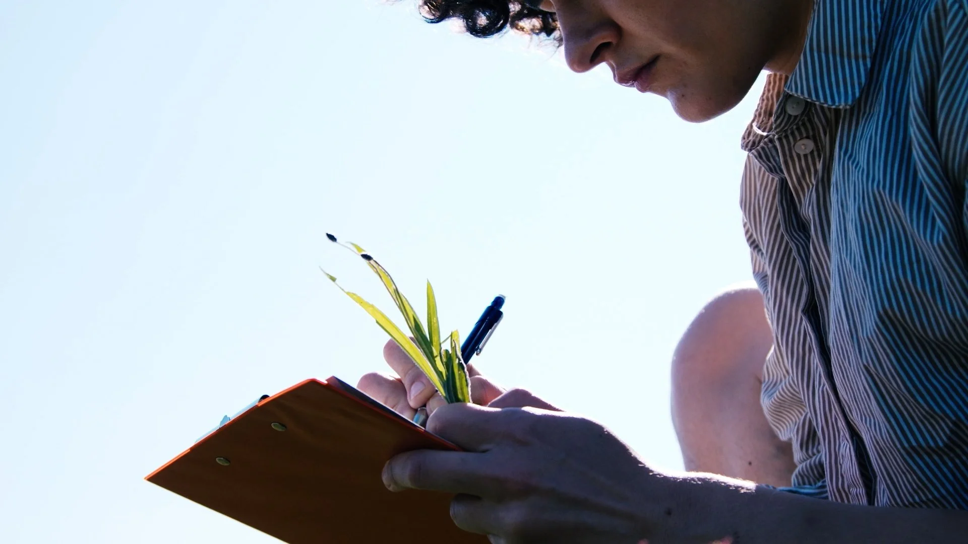 TRAILER  FINAL incl. Subtitels_1.00_18_10_18.Standbild012.jpg