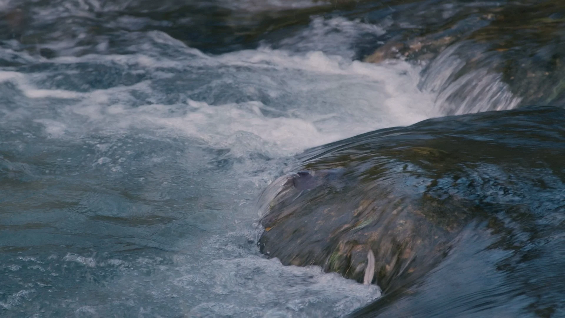 TRAILER  FINAL incl. Subtitels_1.00_32_19_22.Standbild028.jpg