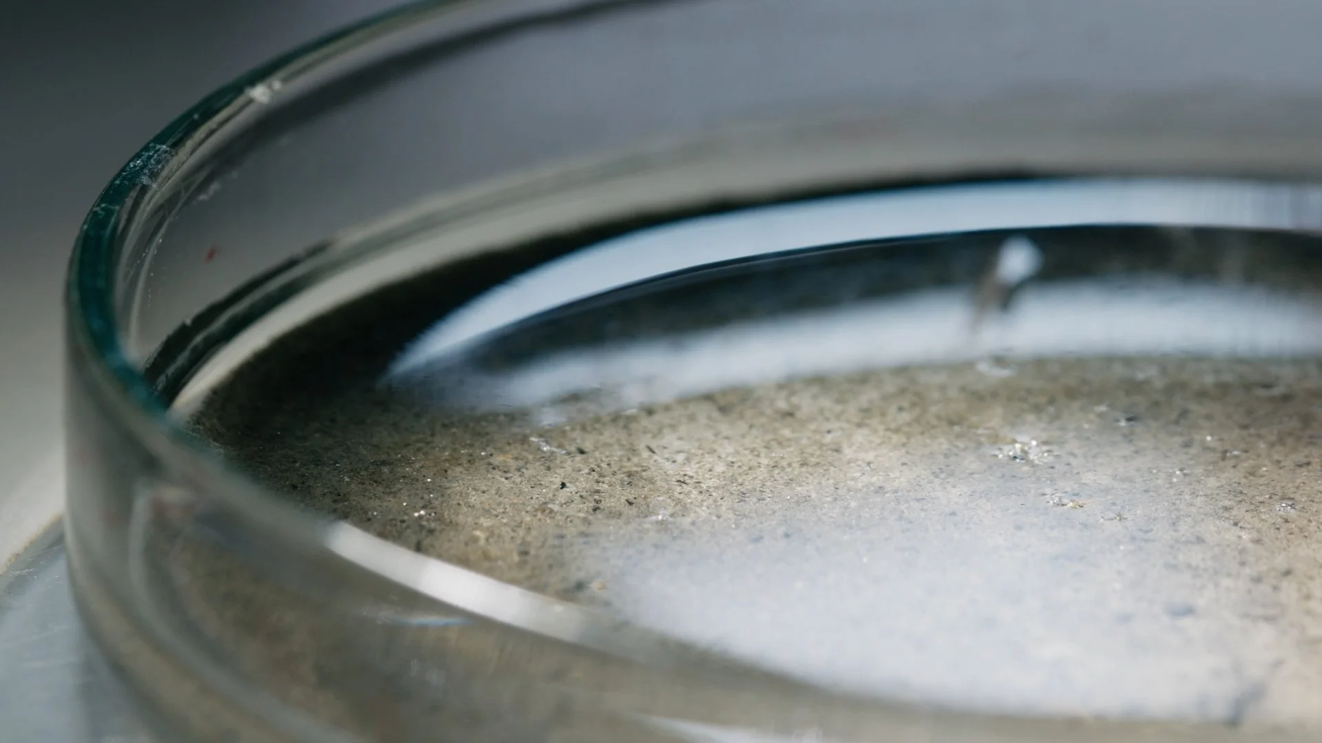 TRAILER  FINAL incl. Subtitels_1.00_12_39_06.Standbild010.jpg