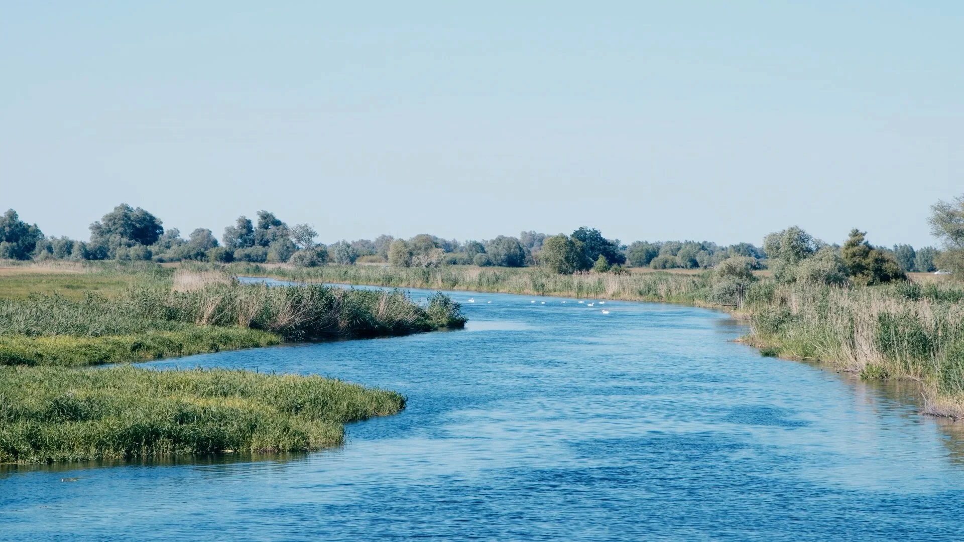 TRAILER  FINAL incl. Subtitels_1.00_00_33_12.Standbild002.jpg