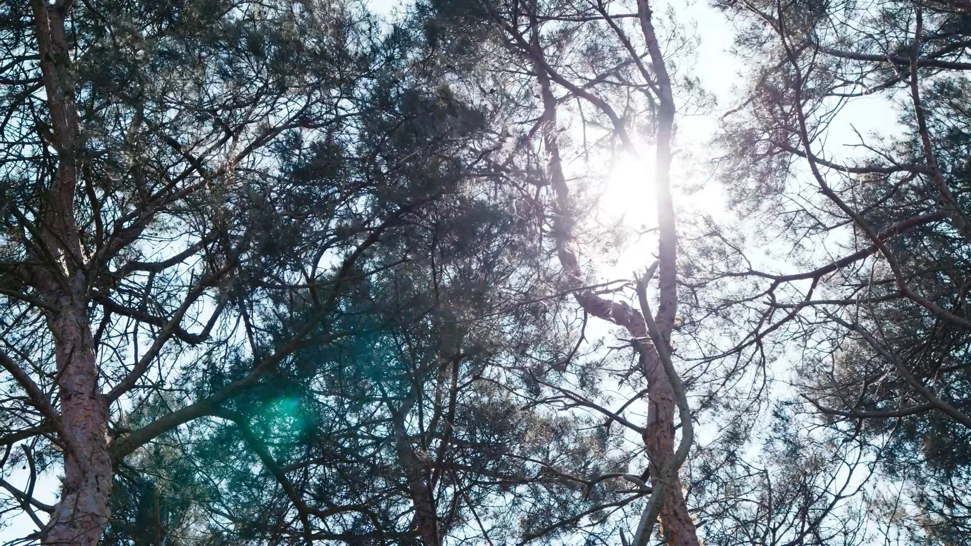 TRAILER  FINAL incl. Subtitels_1.00_14_14_10.Standbild009.jpg