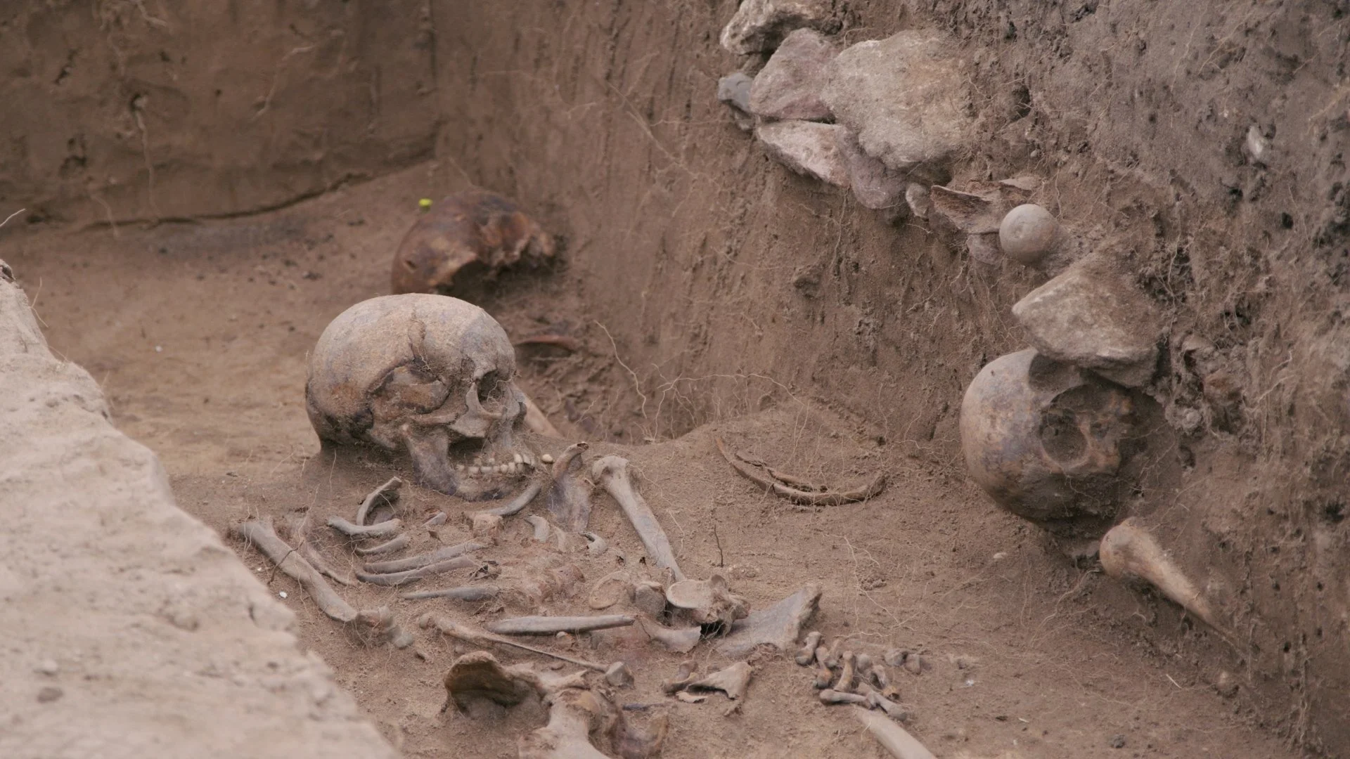 TRAILER  FINAL incl. Subtitels_1.00_27_39_16.Standbild020.jpg